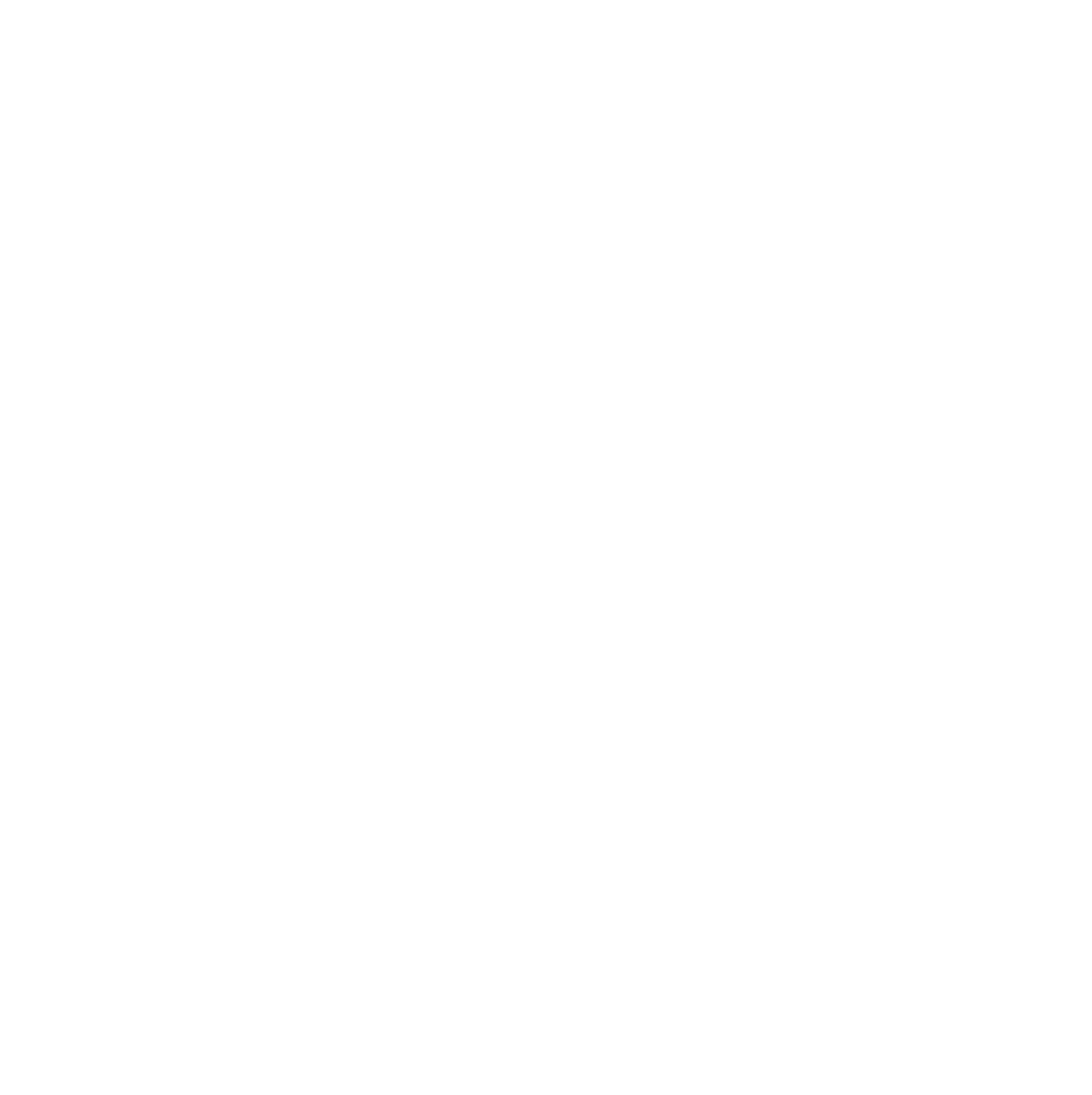 CFSI Logo black and white