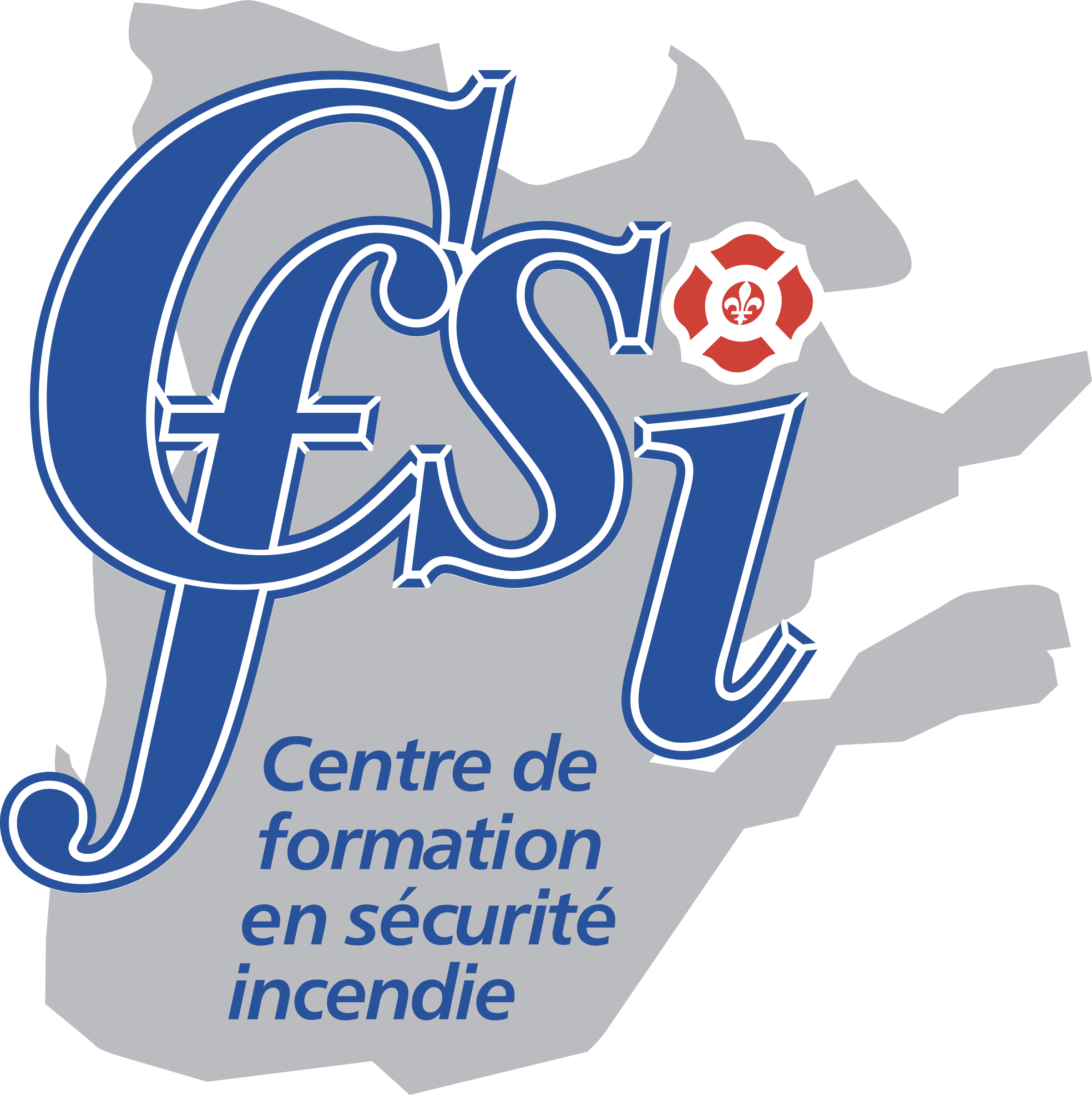 CFSI Logo png transparent