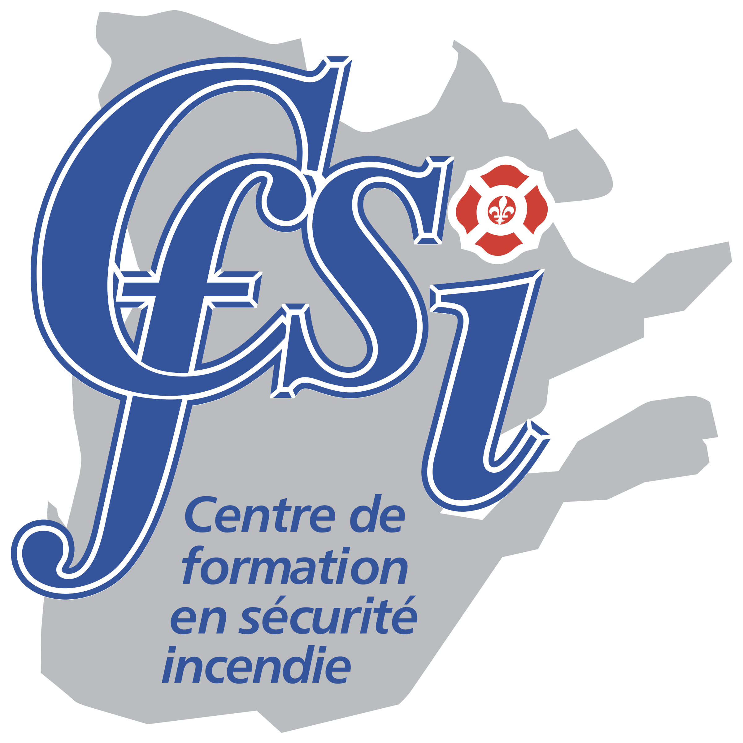 CFSI Logo png transparent