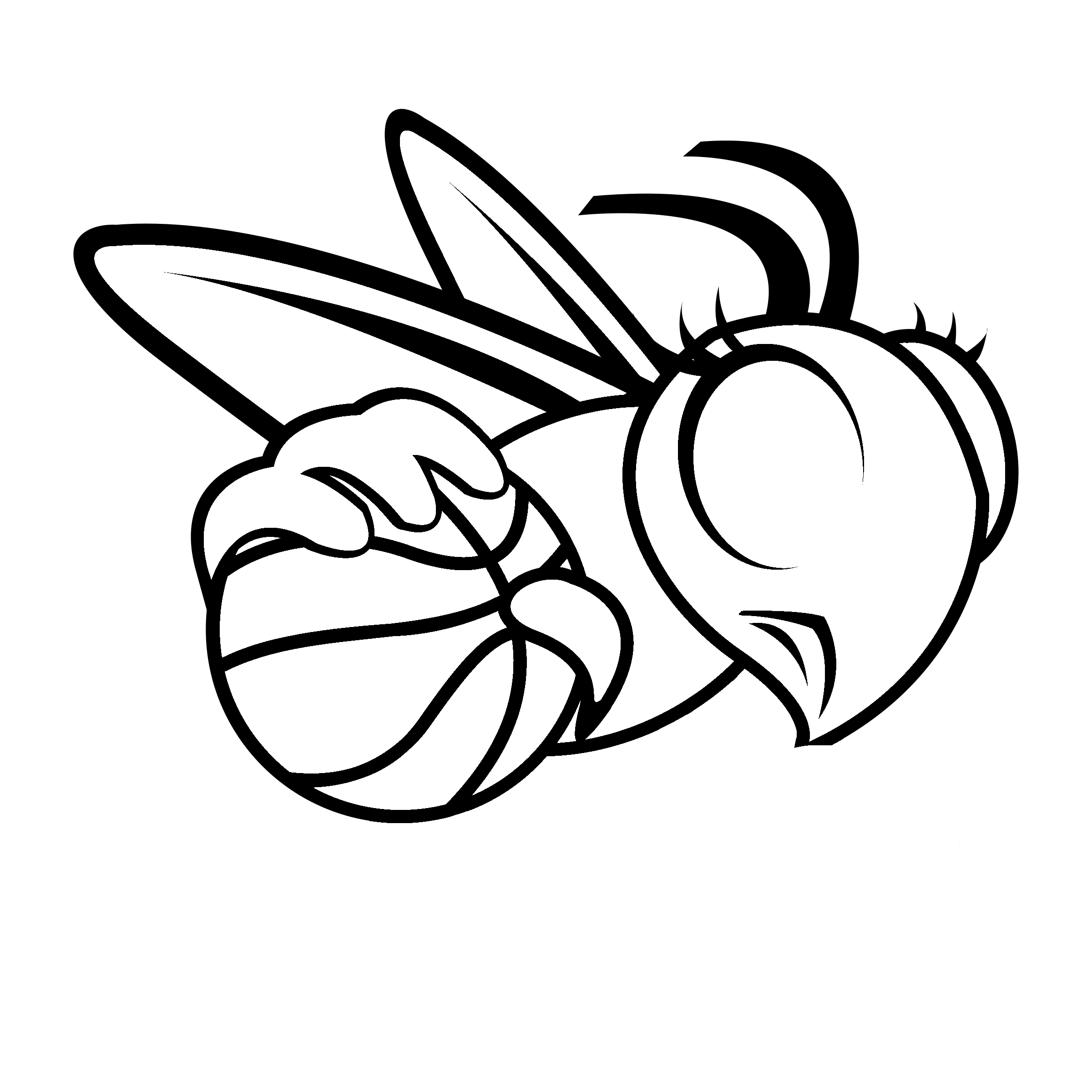 Charlotte Sting Logo black and white
