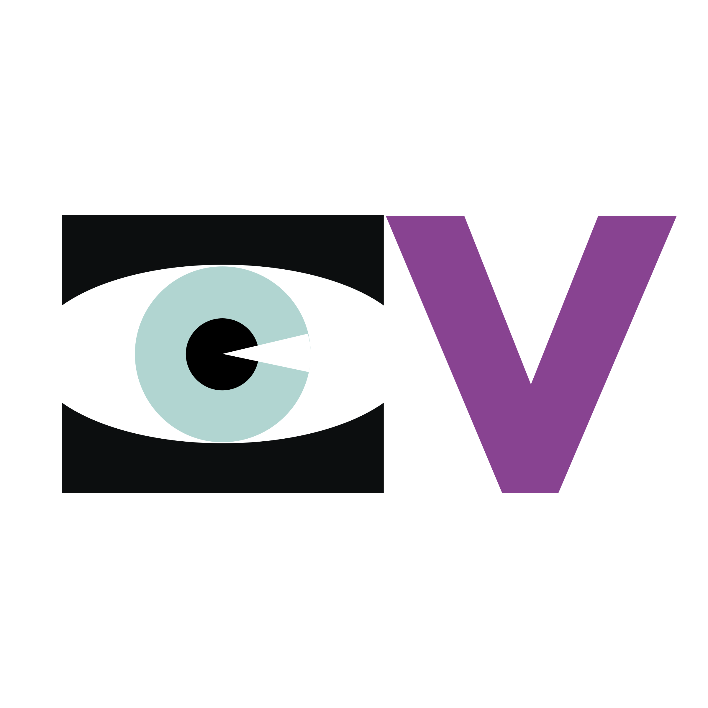 City Vision Logo png transparent