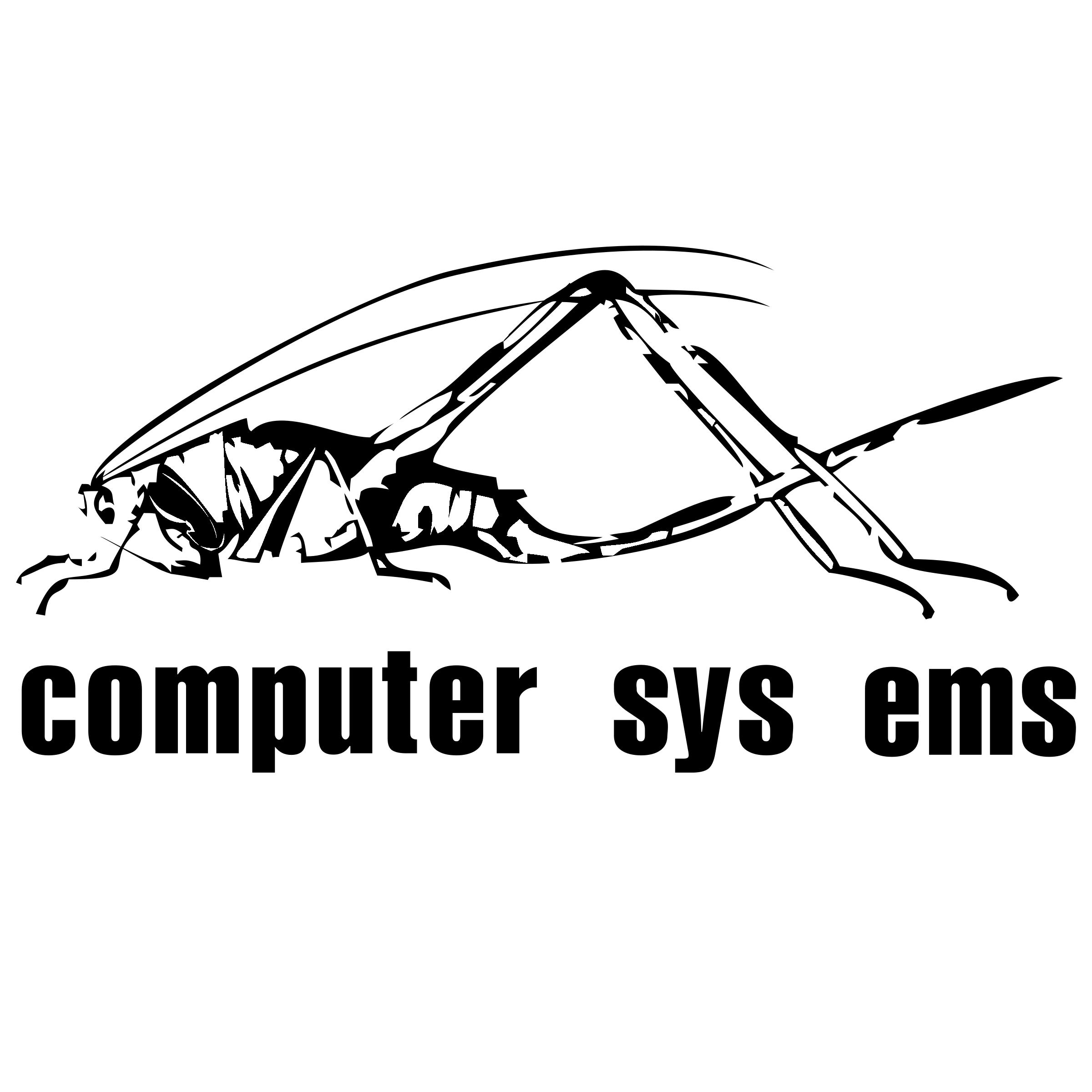 Computer Systems Logo black and white