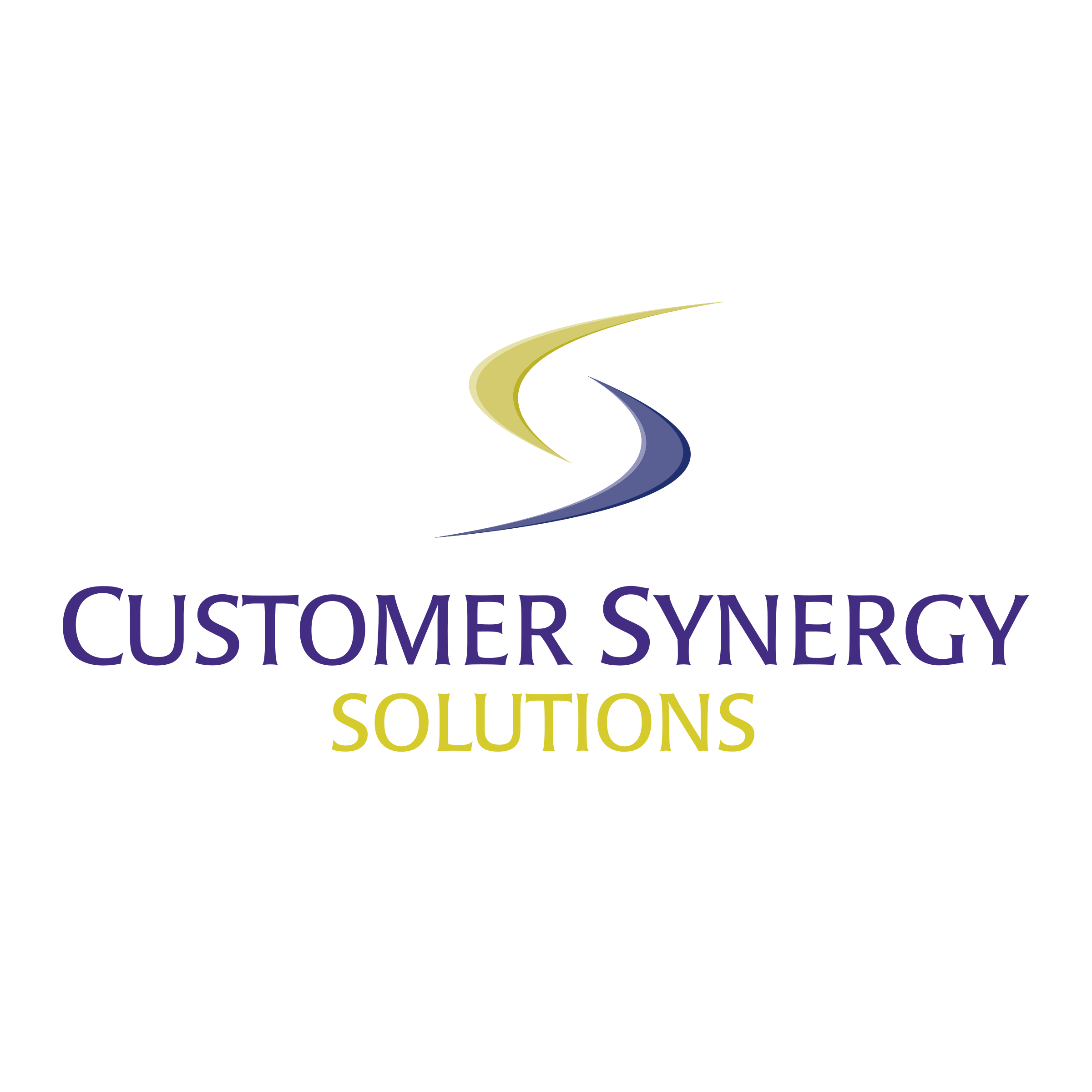 Customer Synergy Solutions Logo png transparent