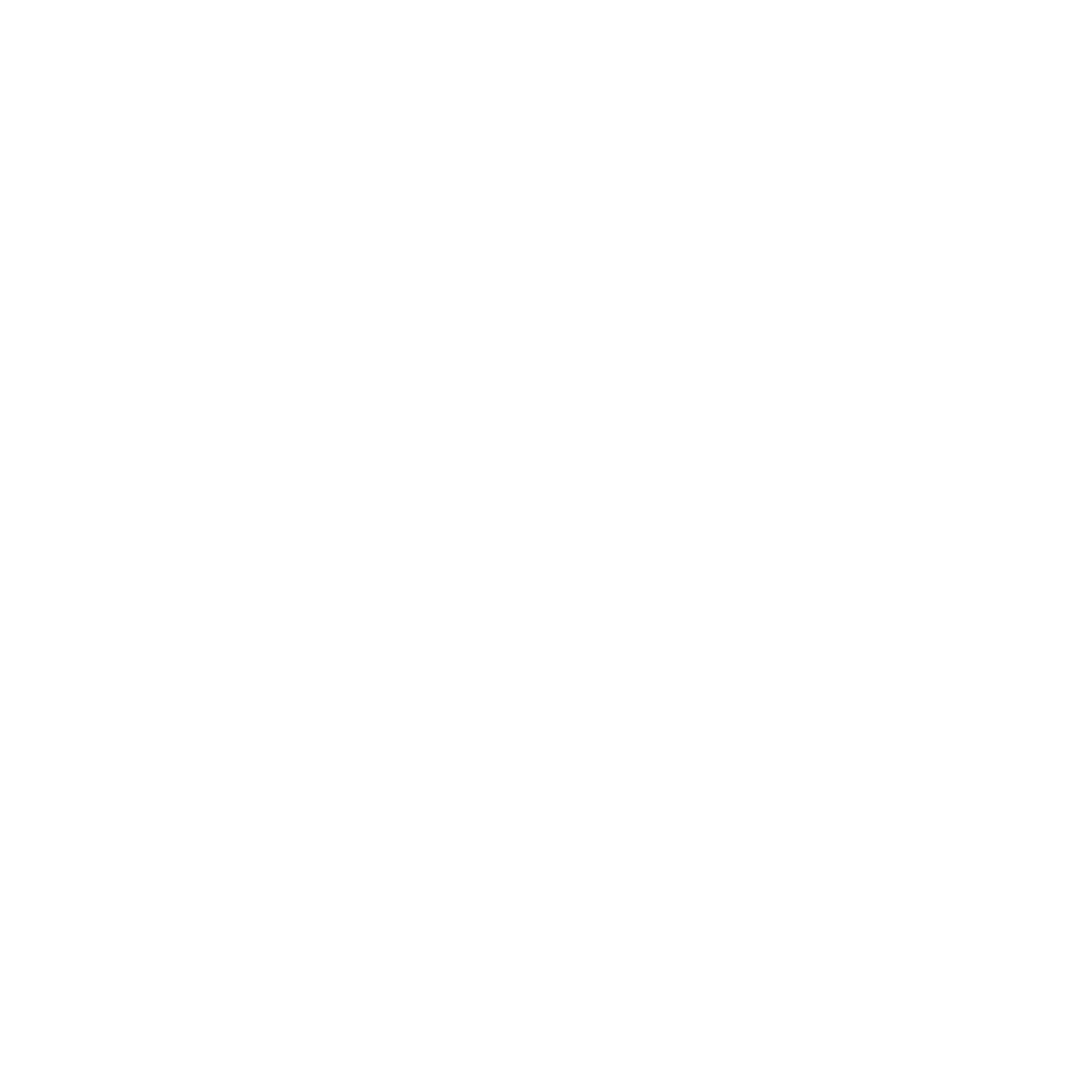 Cyclion Logo black and white