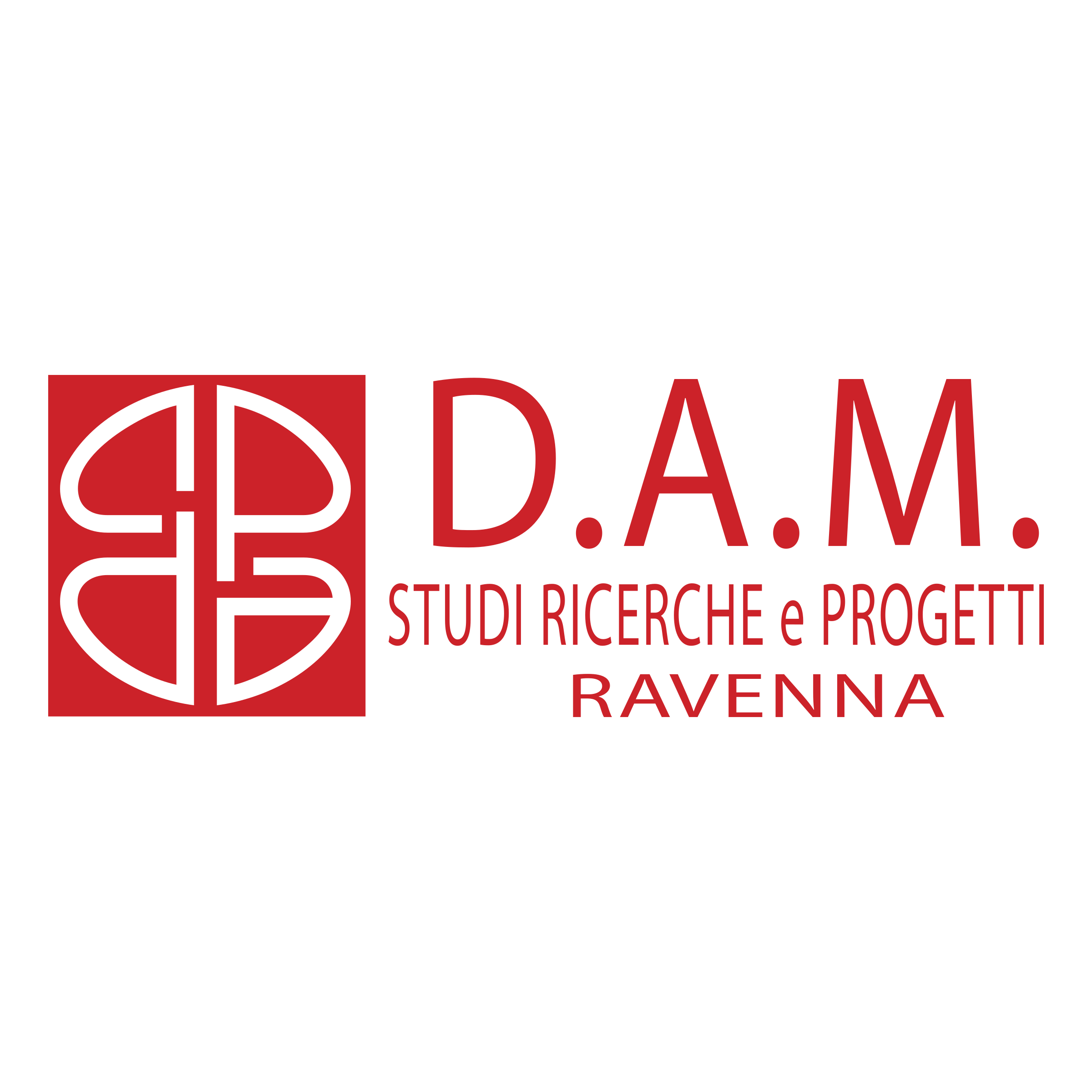 DAM Logo png transparent