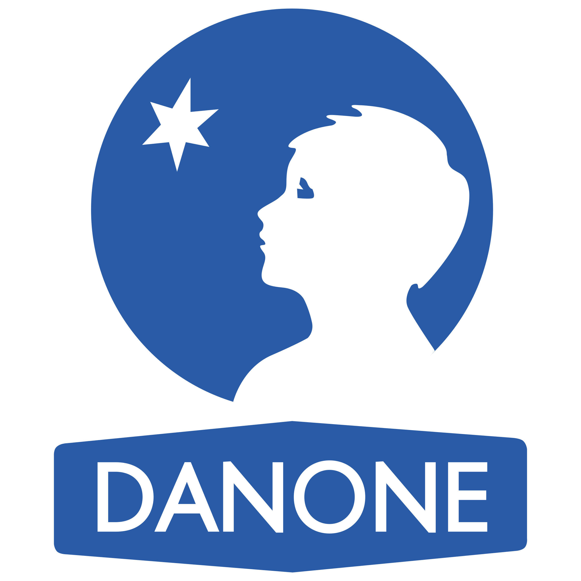 Danon Logo png transparent