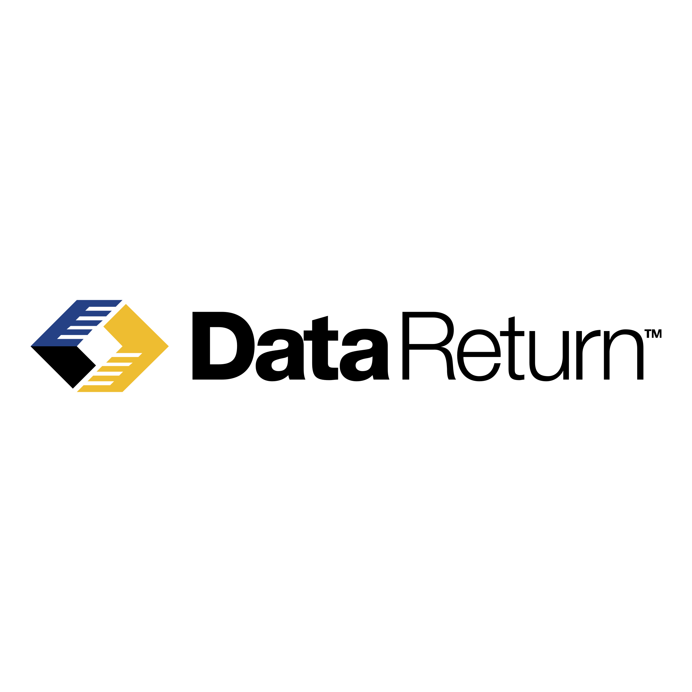 Data Return Logo png transparent