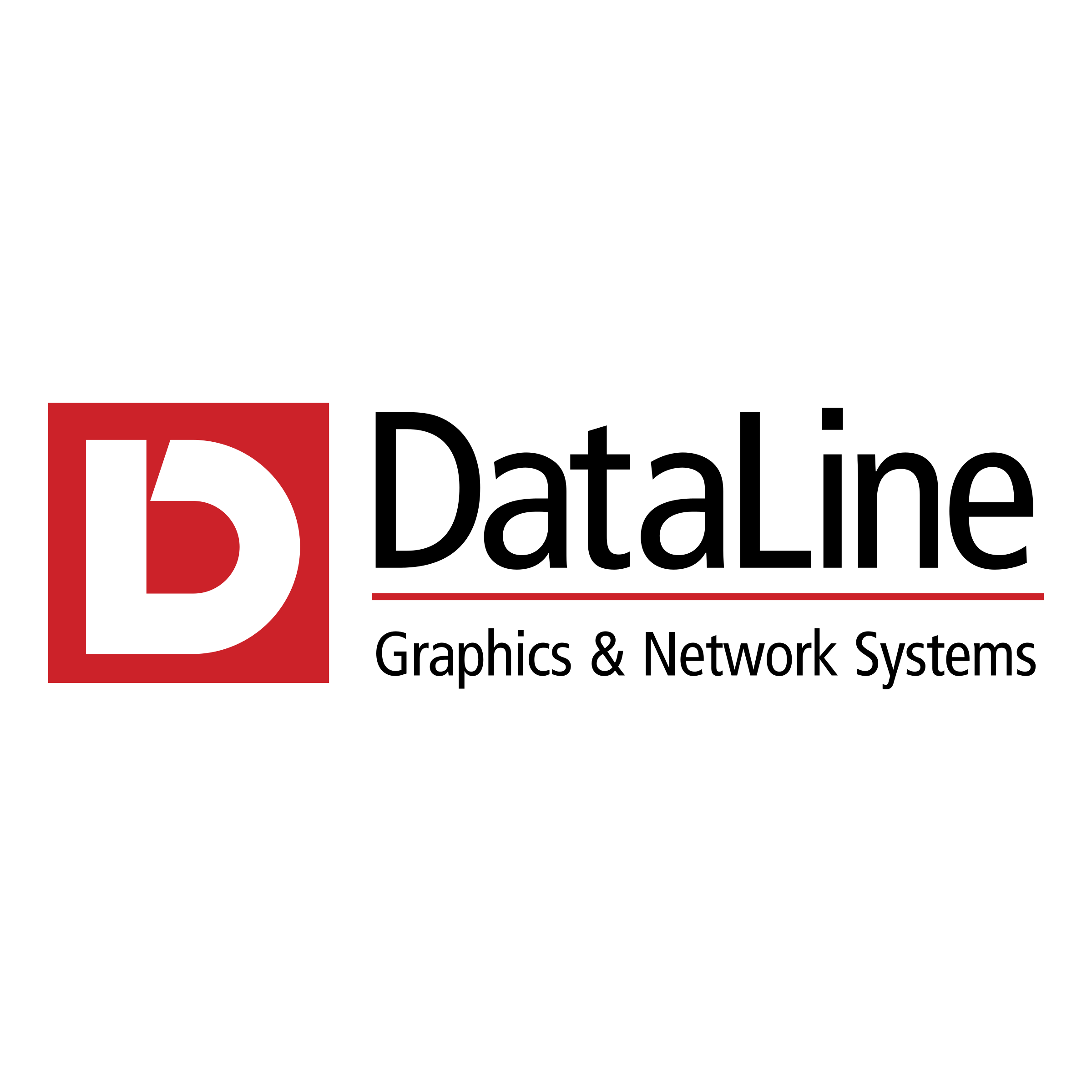 DataLine Logo png transparent
