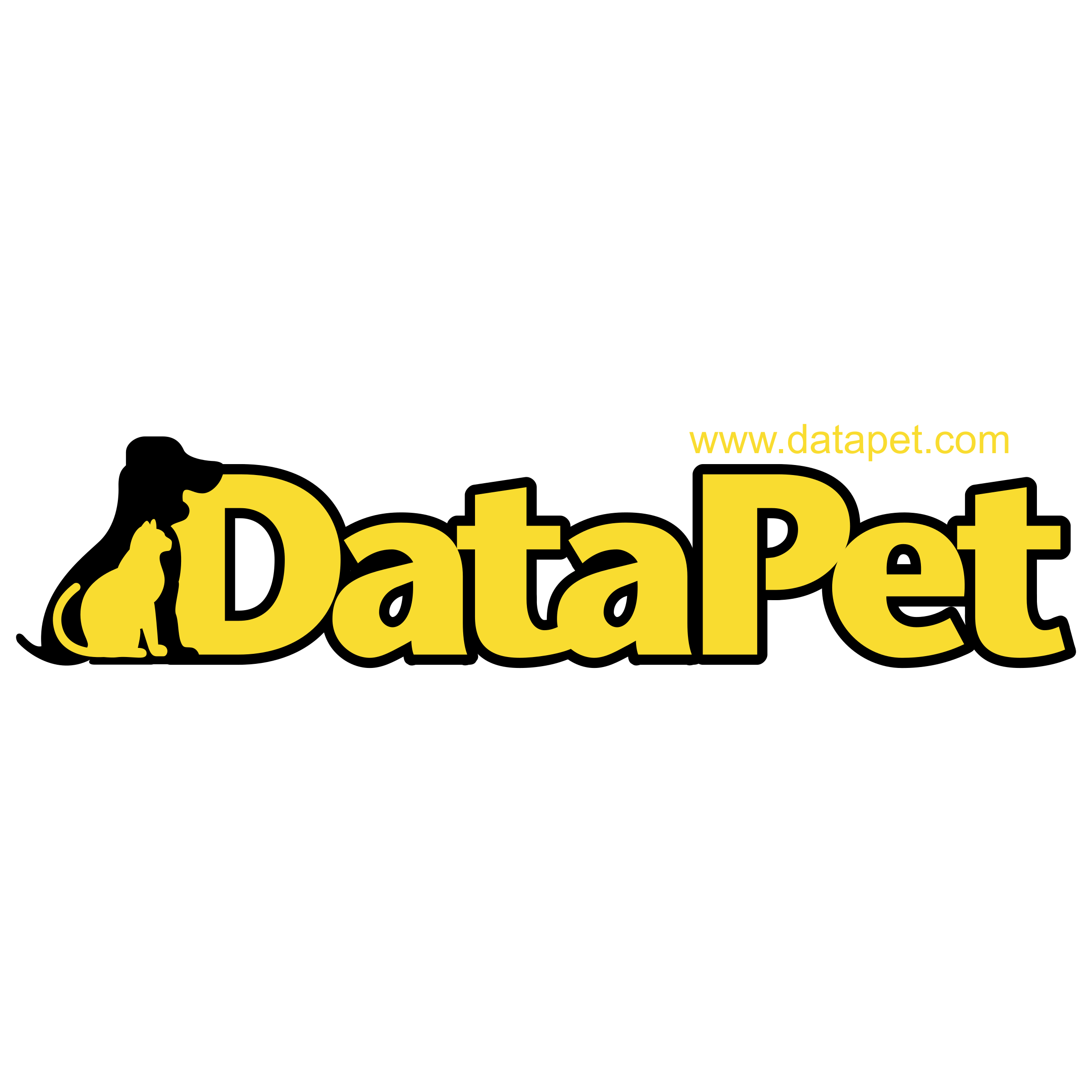 DataPet Logo png transparent