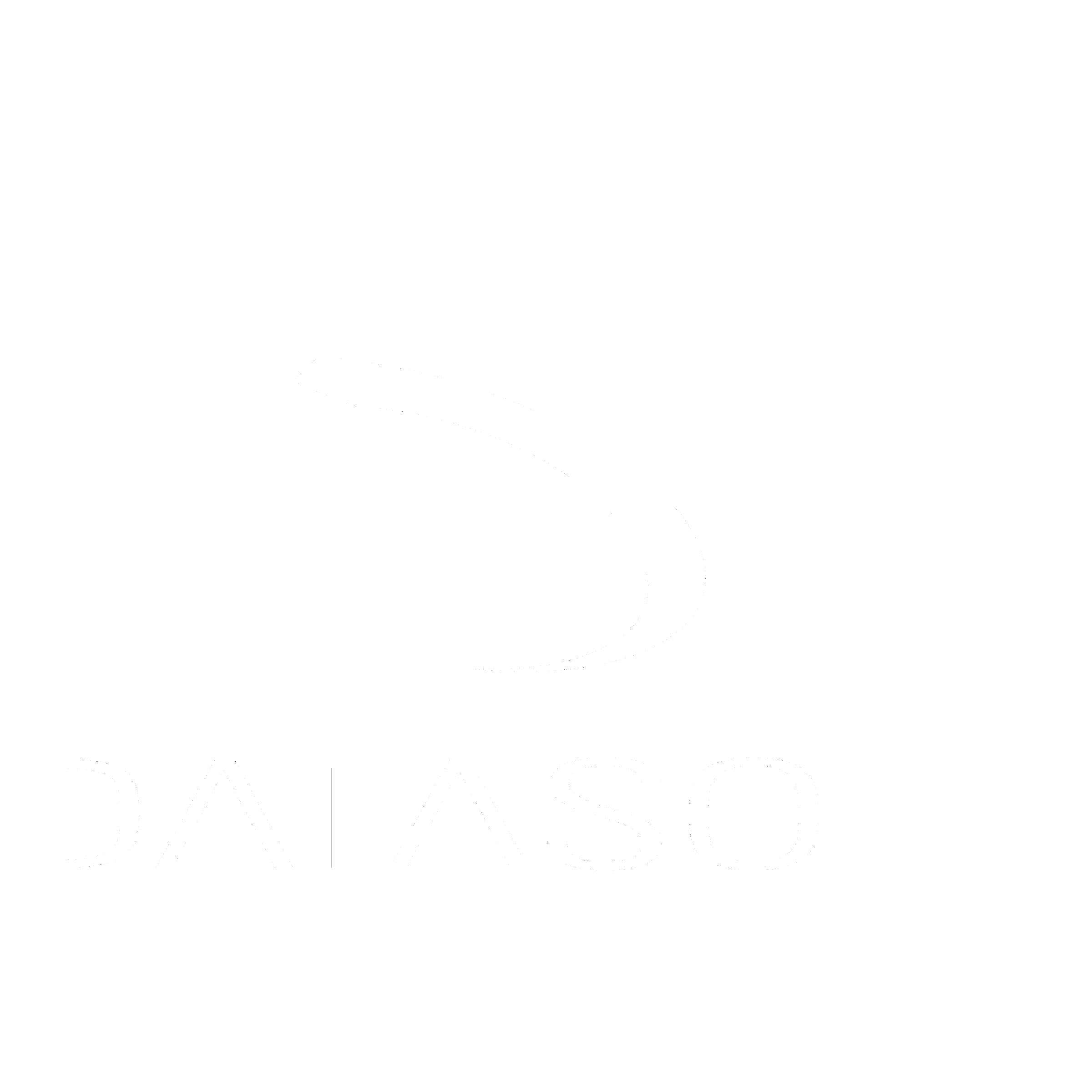 DataSoft Logo black and white