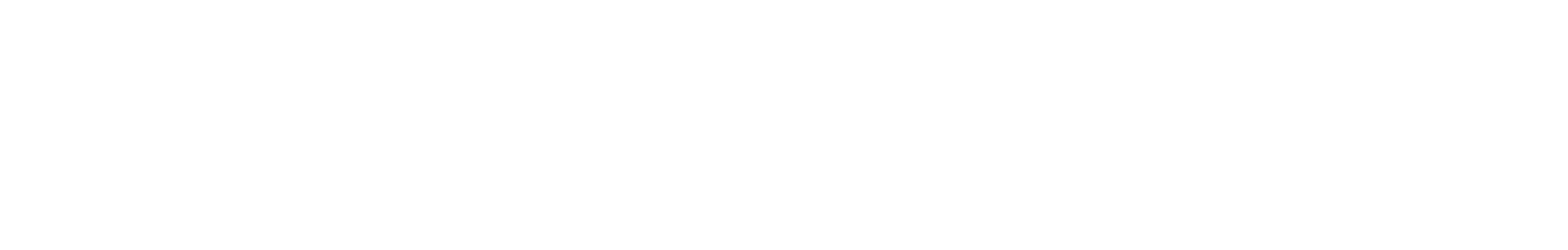 DeinServerHost Logo black and white