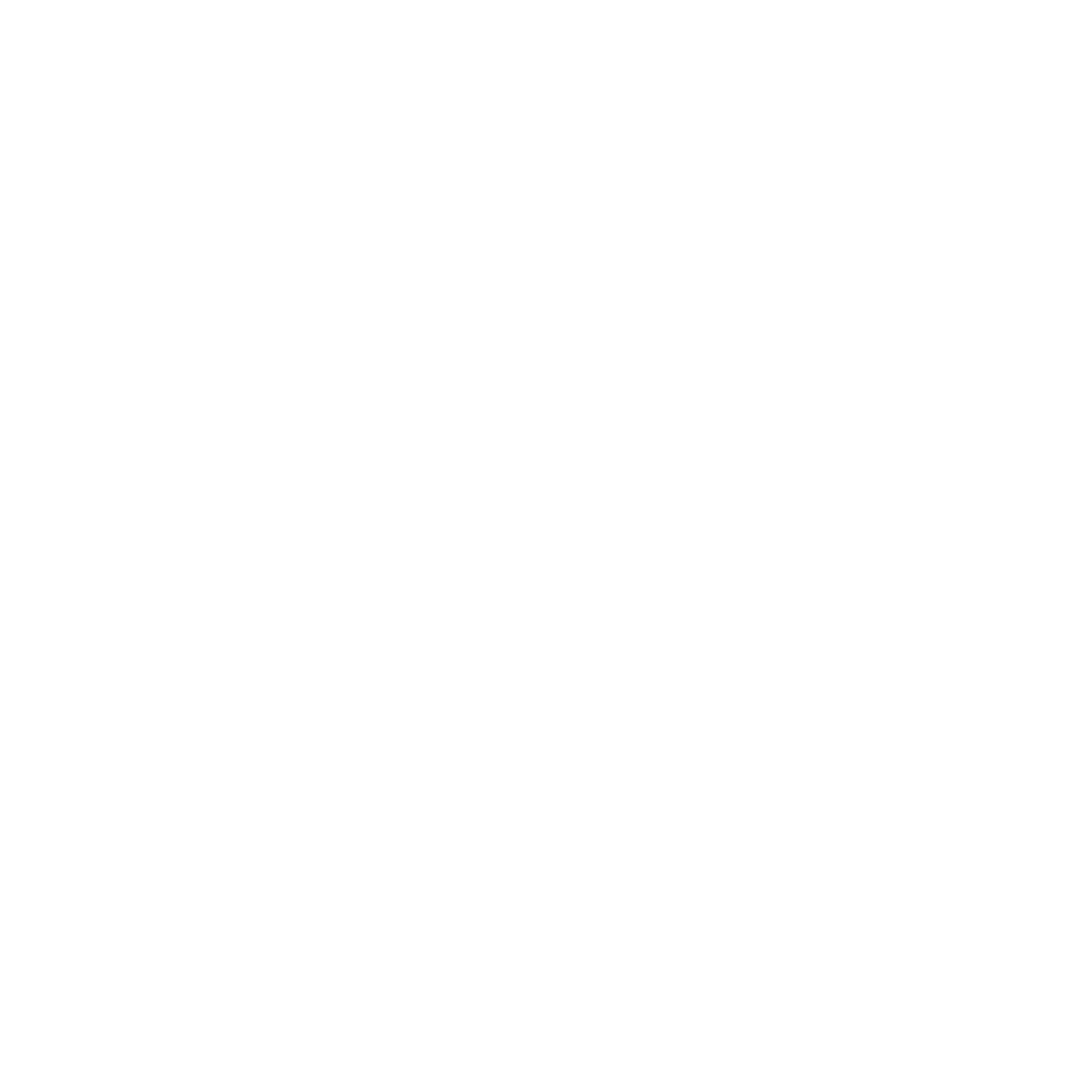 Delfi International Logo black and white