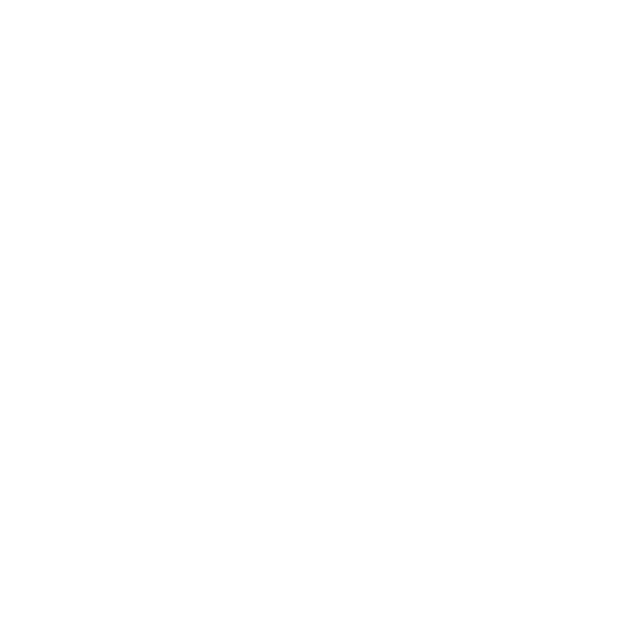 Demcon Logo black and white