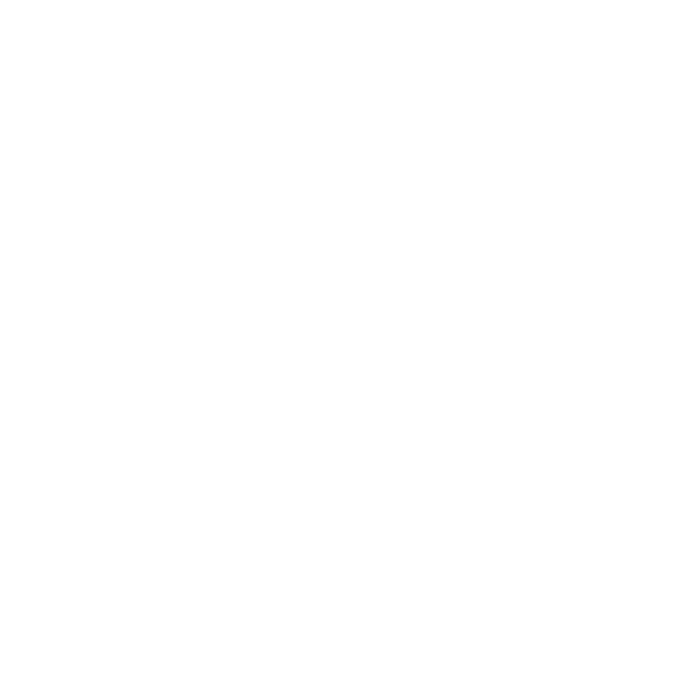 Discovery Store Logo black and white