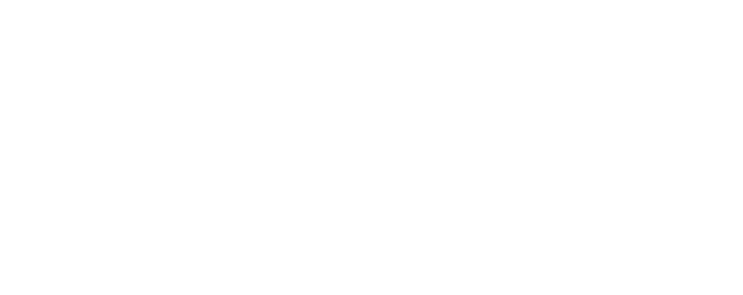DMP ELECTRONICS Logo black and white