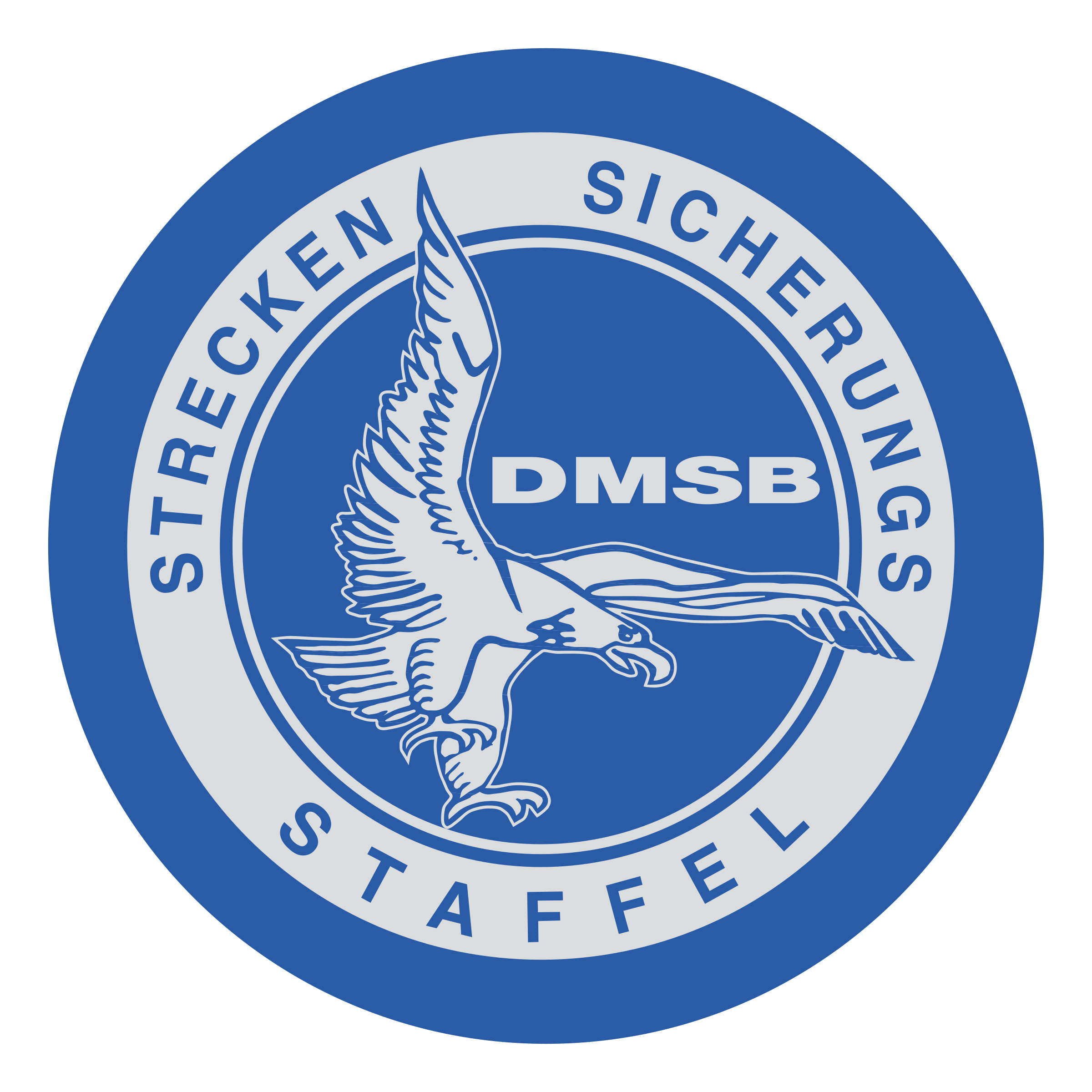 DMSB Logo png transparent