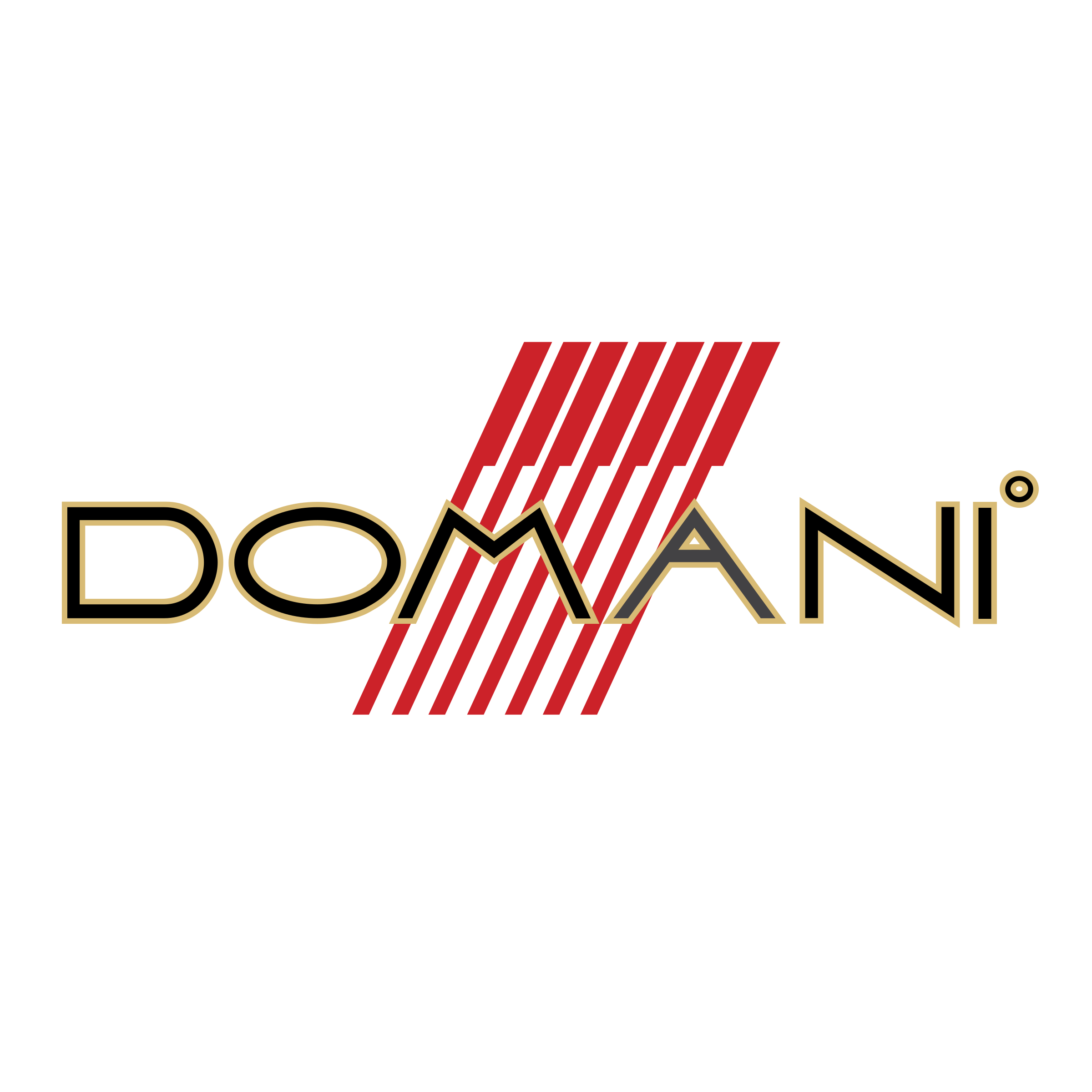 Domani Logo png transparent