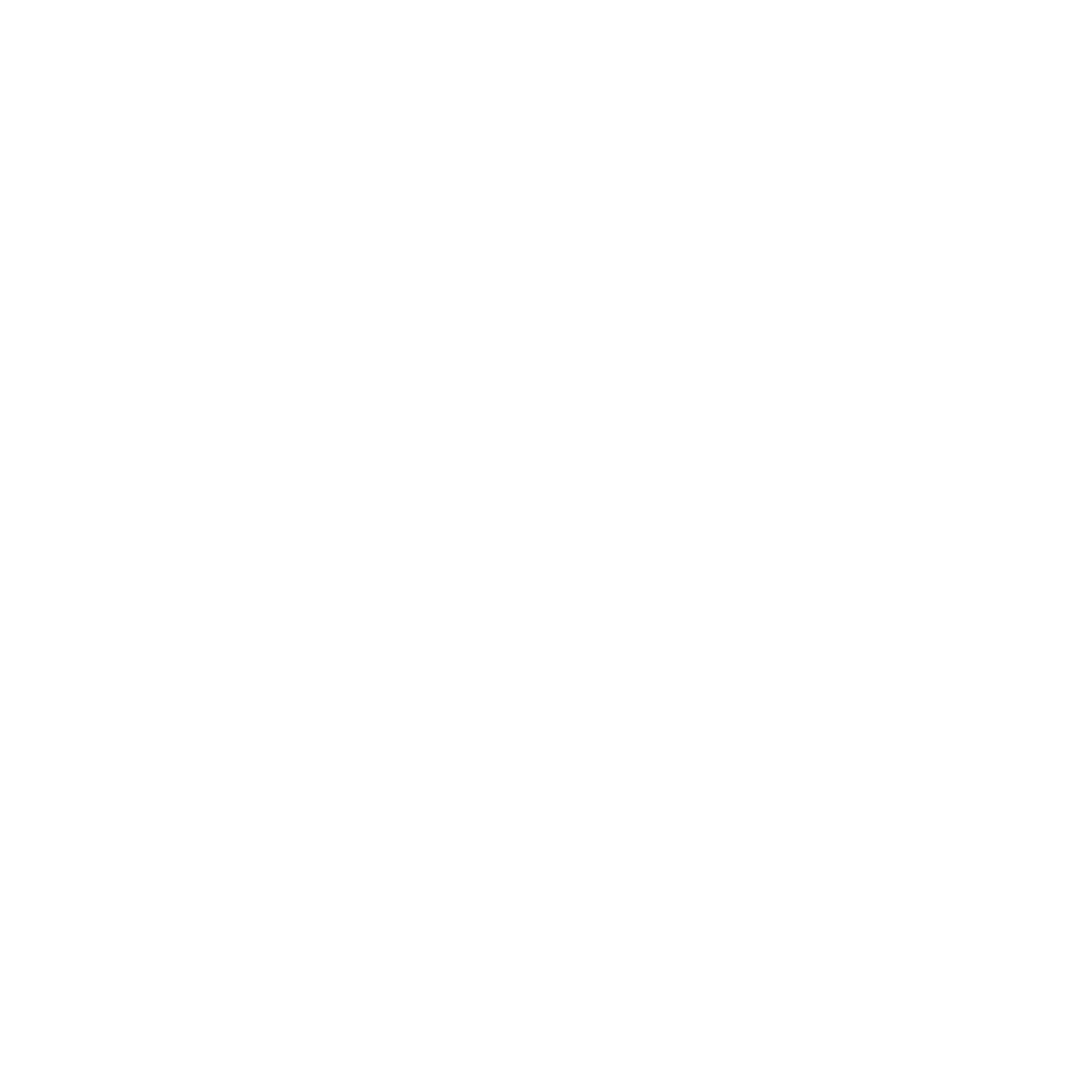 DomRaider Logo black and white