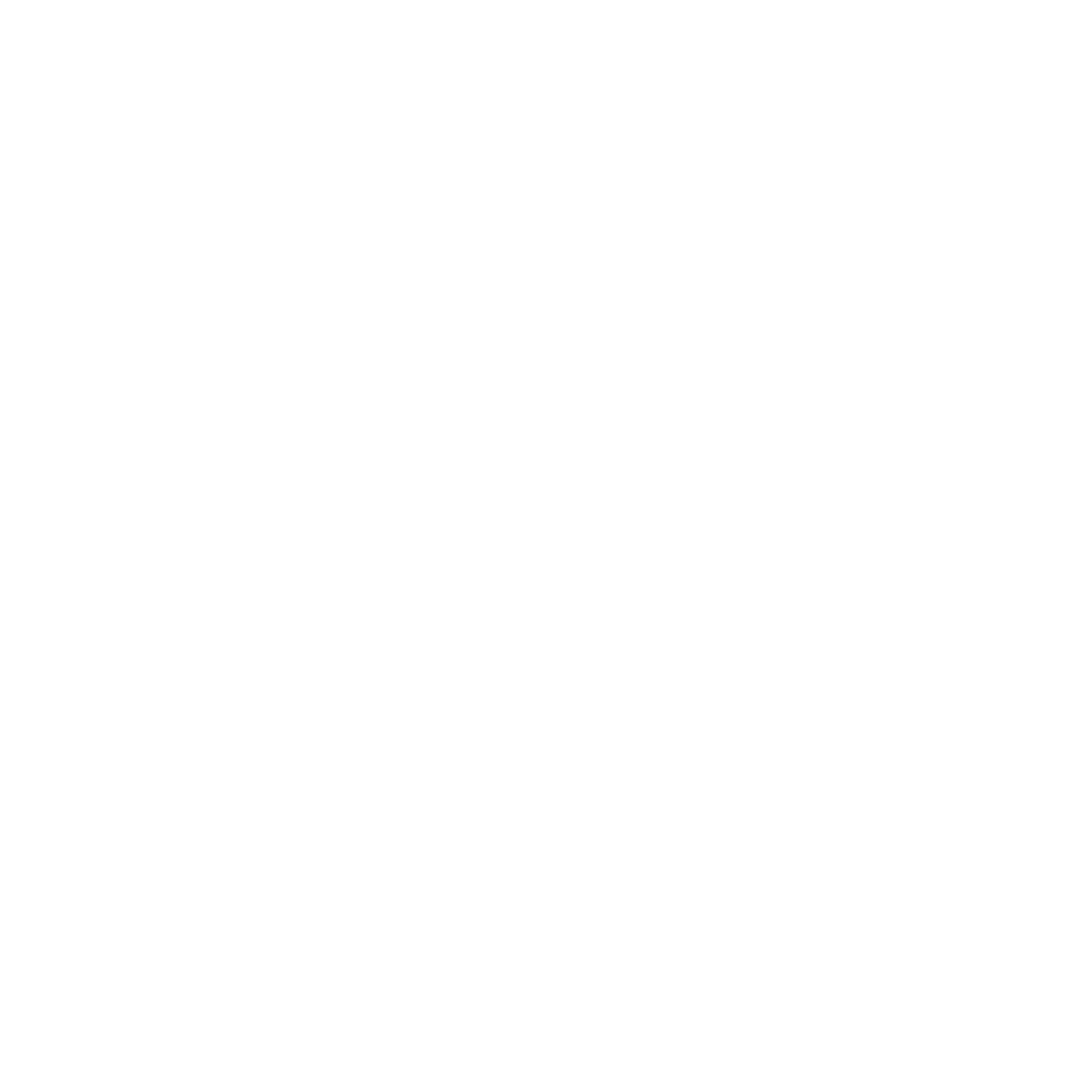 Druid Logo black and white