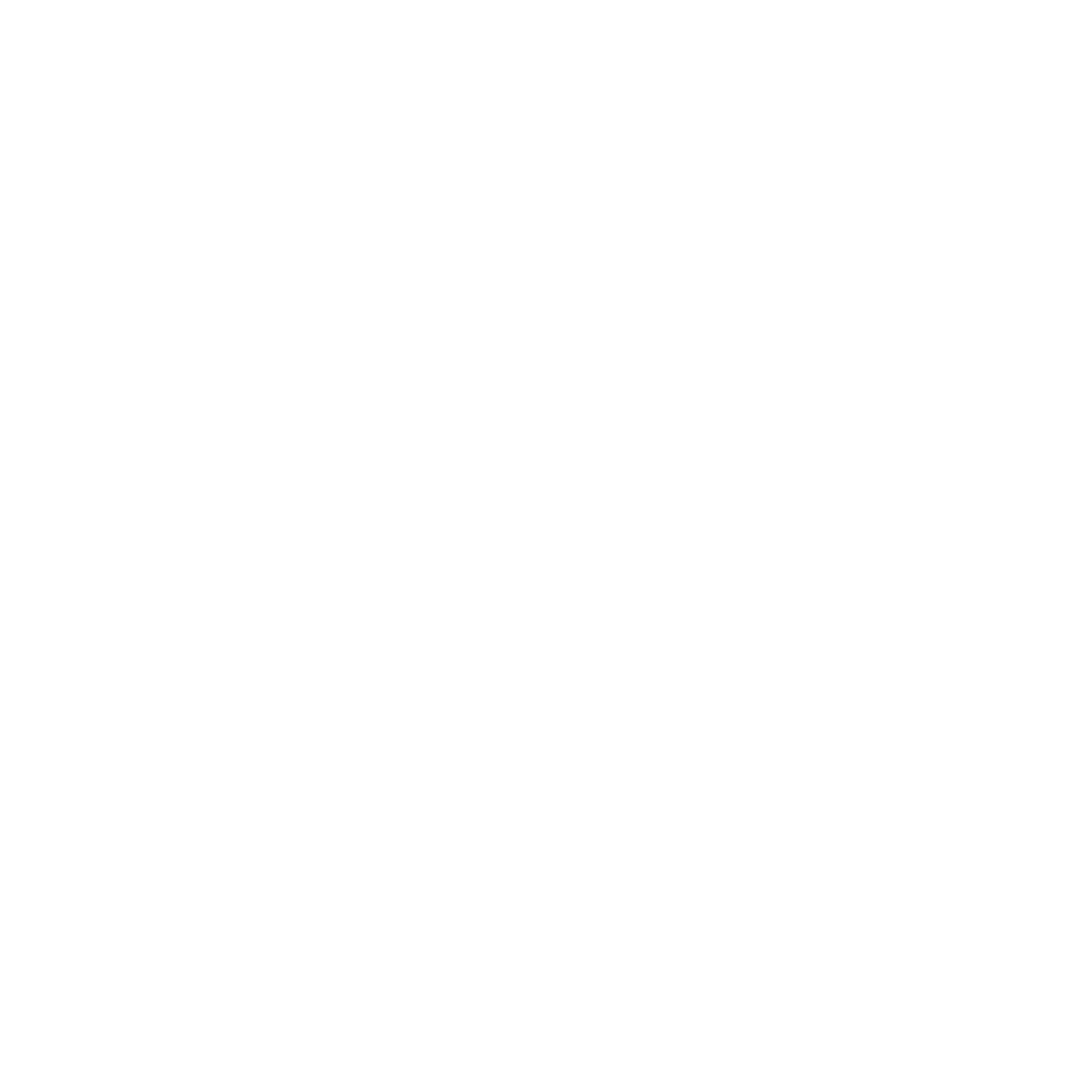 DSV Alpine Logo black and white