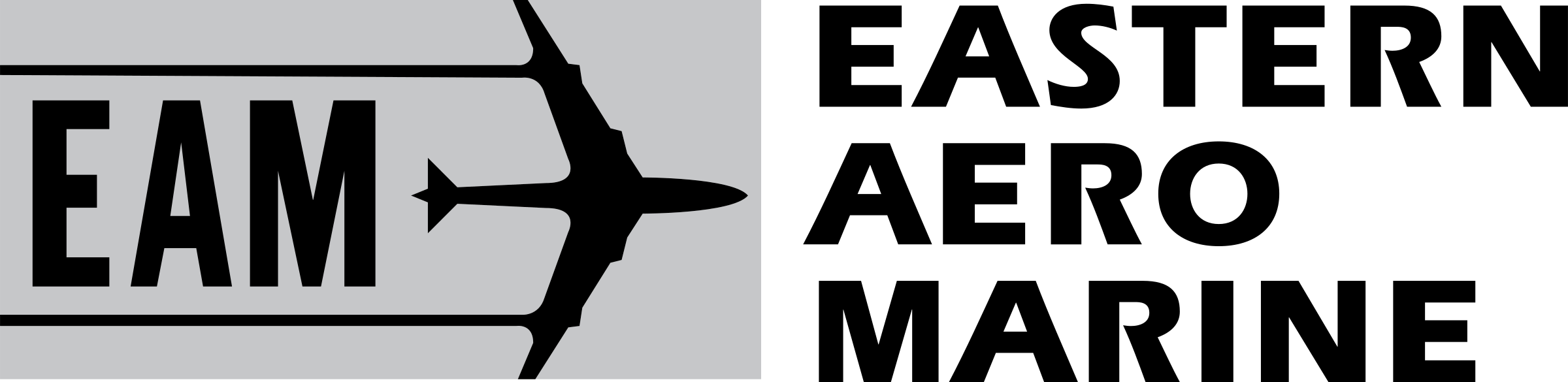 EAM Logo png transparent