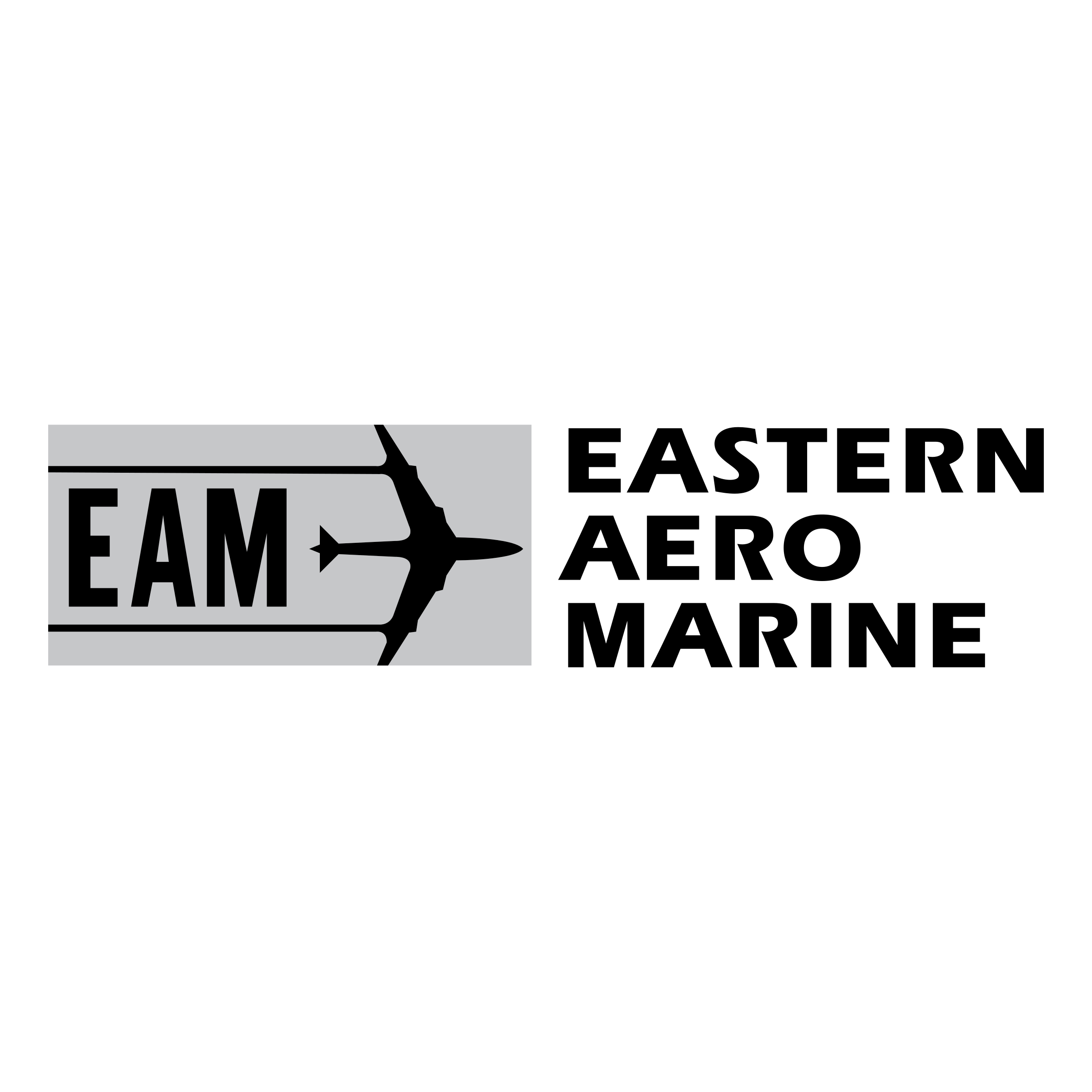 EAM Logo png transparent