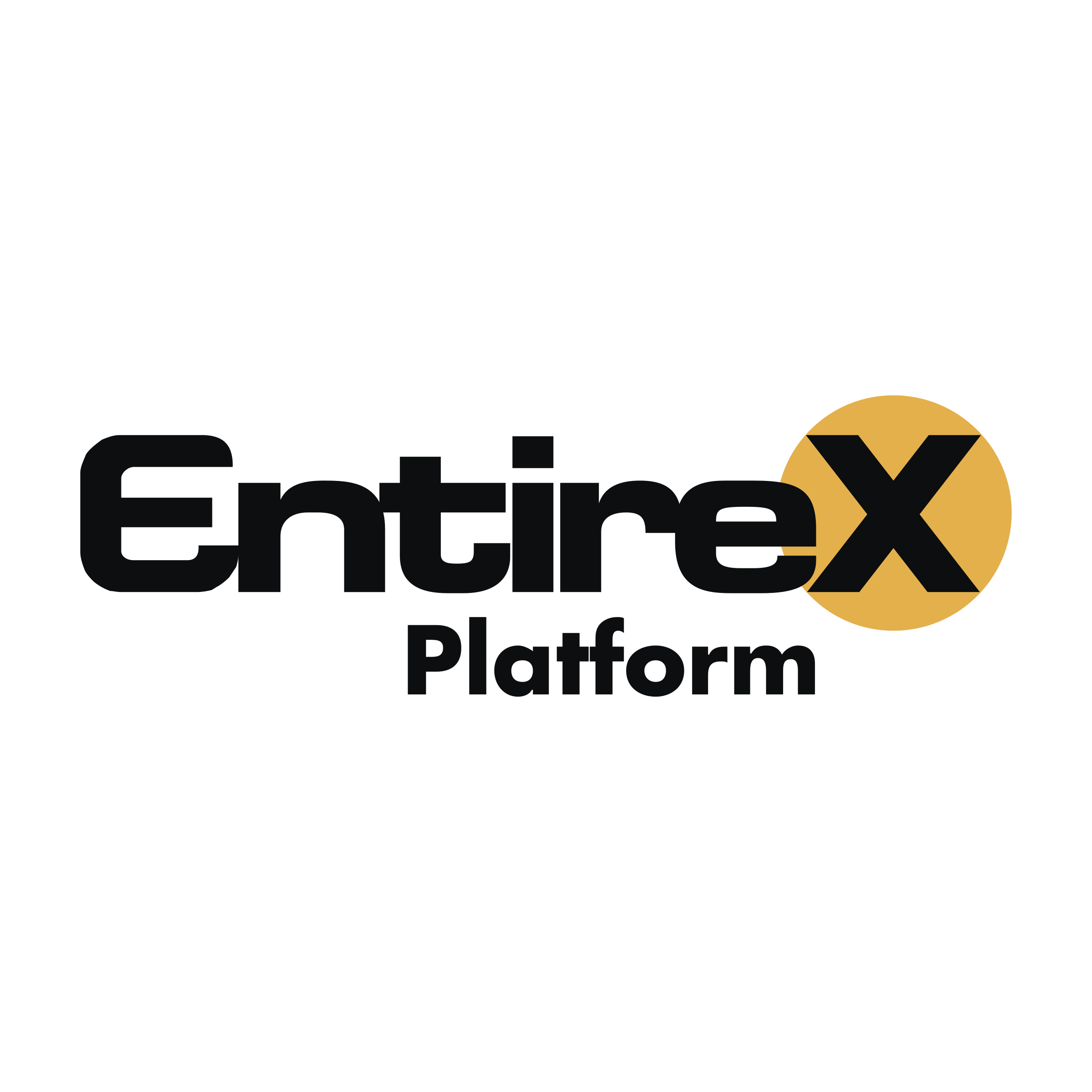 EntireX Logo png transparent
