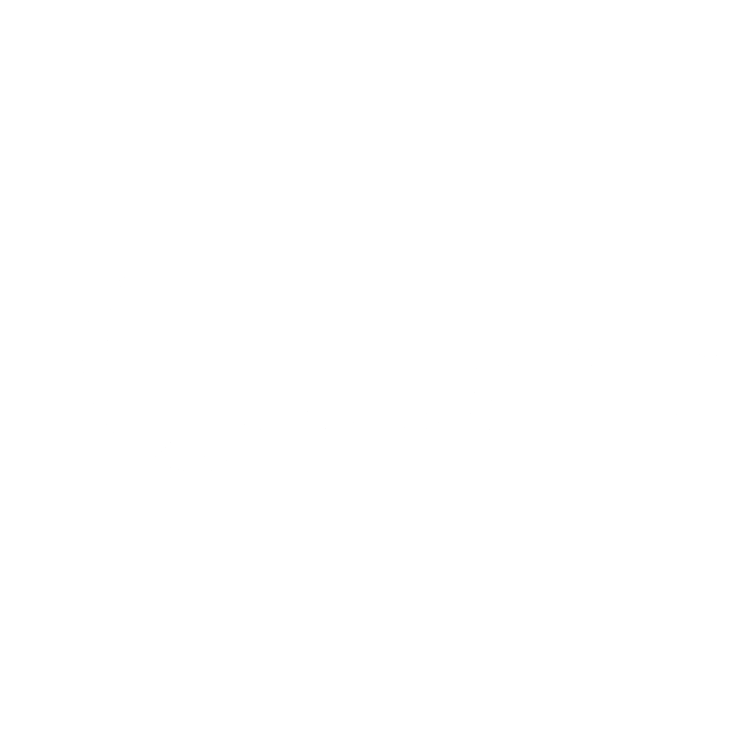 Equant Logo black and white