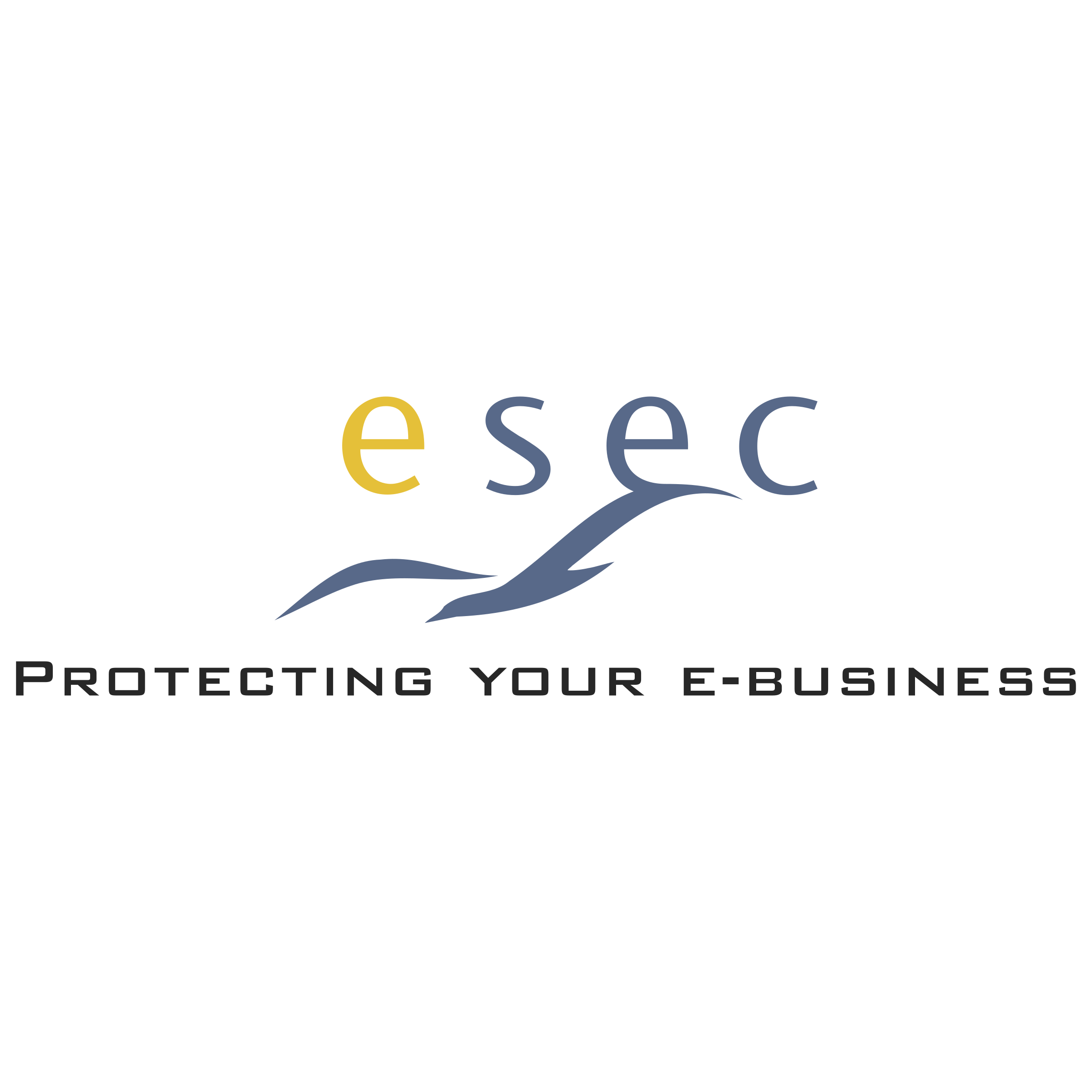 eSec Logo png transparent