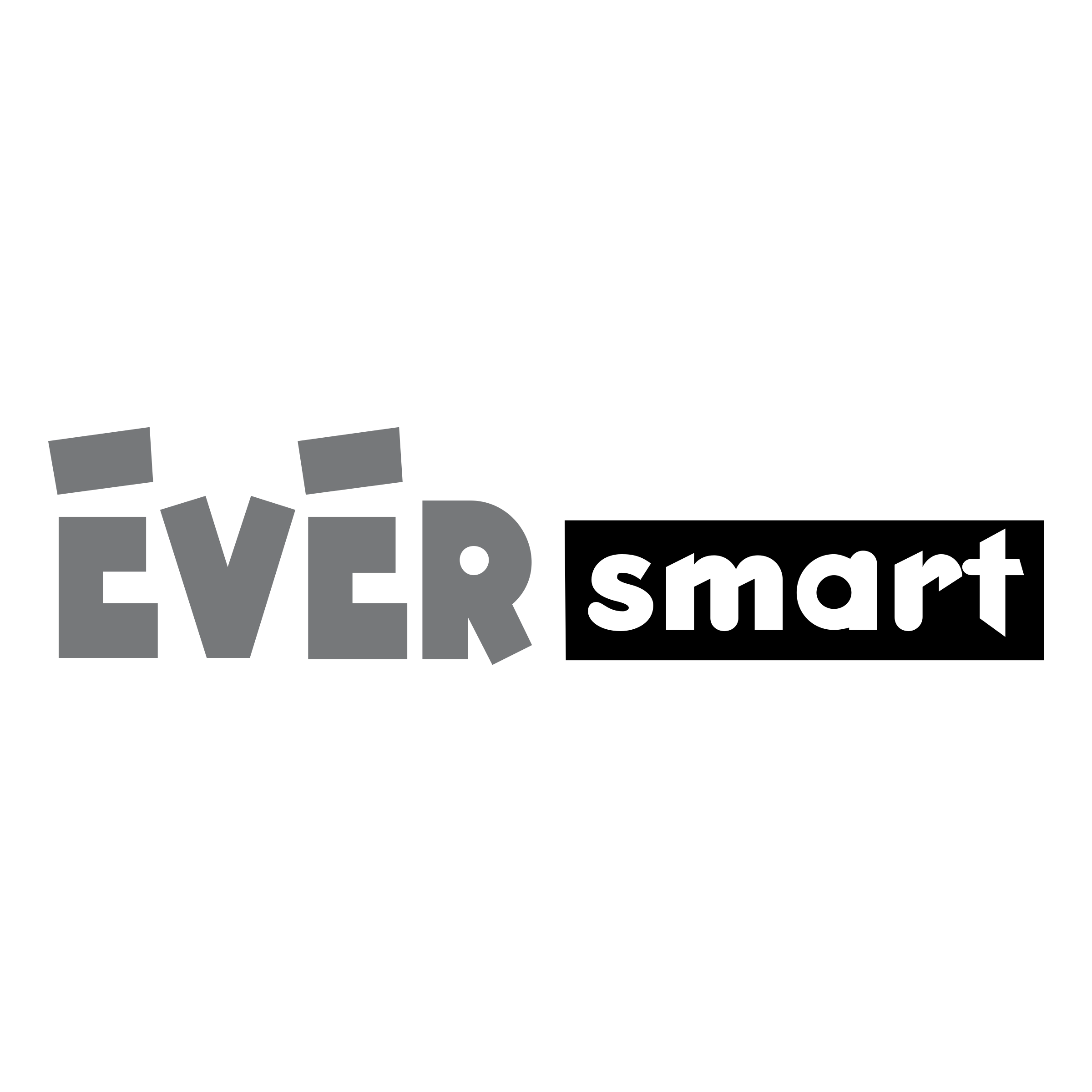 EverSmart Logo png transparent
