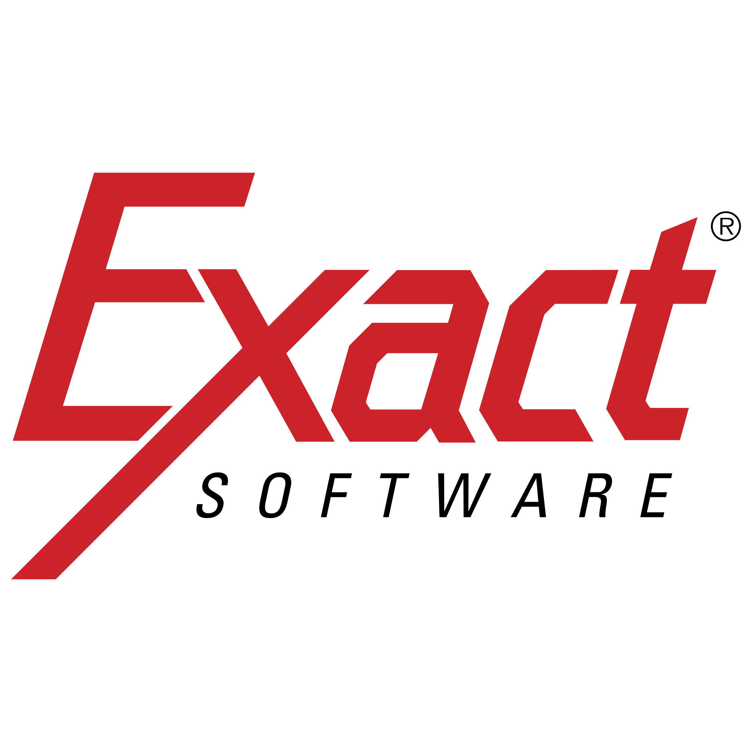 Exact Software Logo png transparent