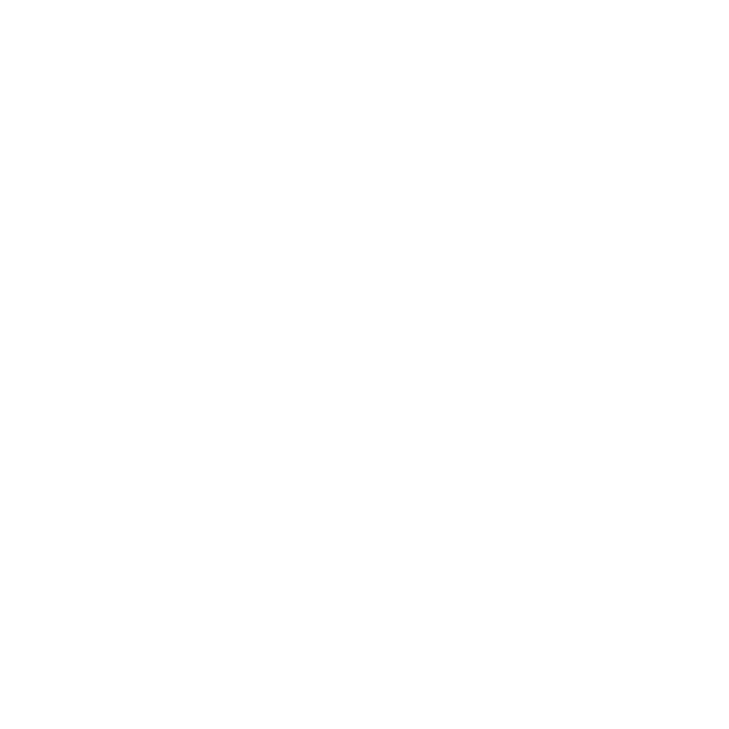 Fame Story Logo black and white