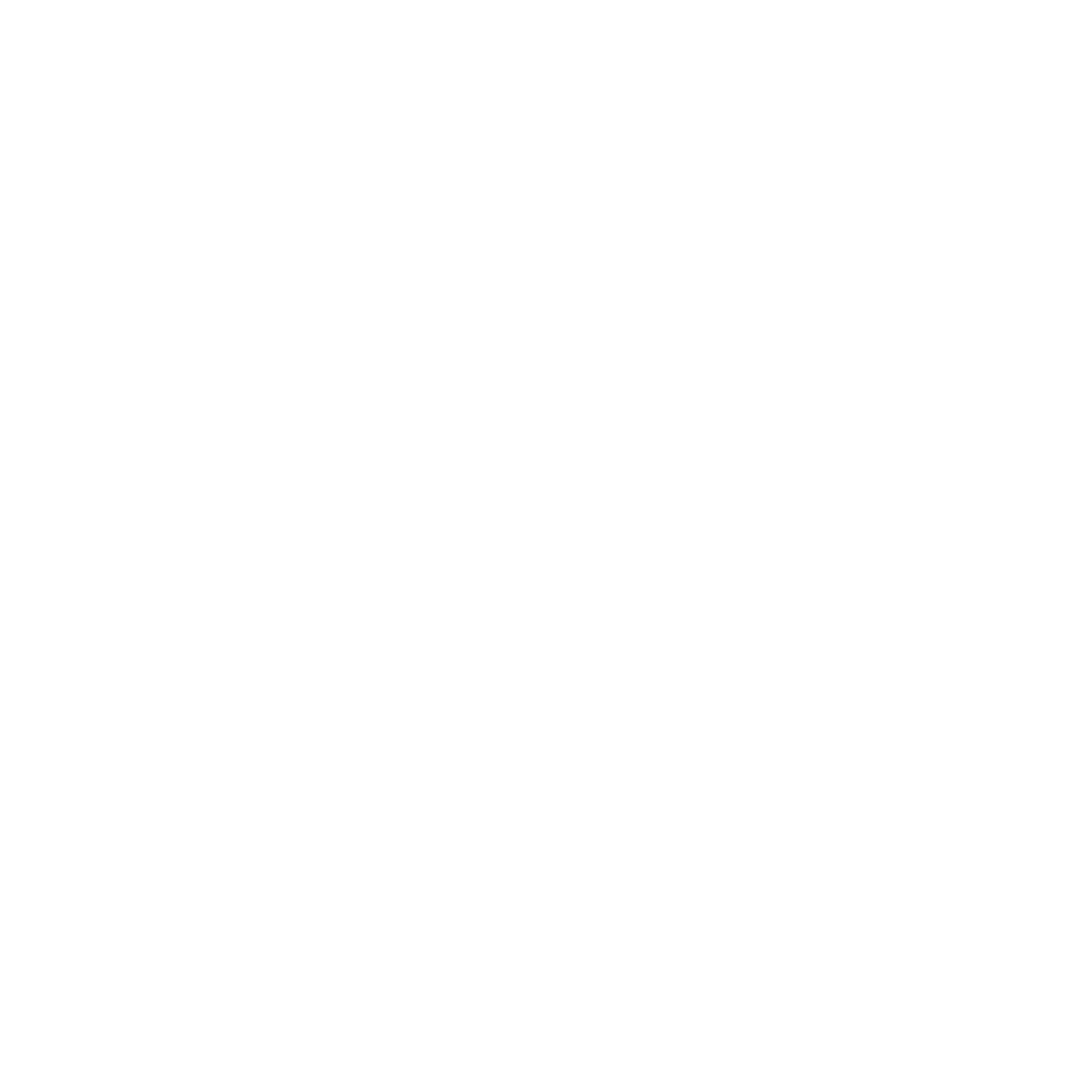 Femme Sans Frontieres Logo black and white