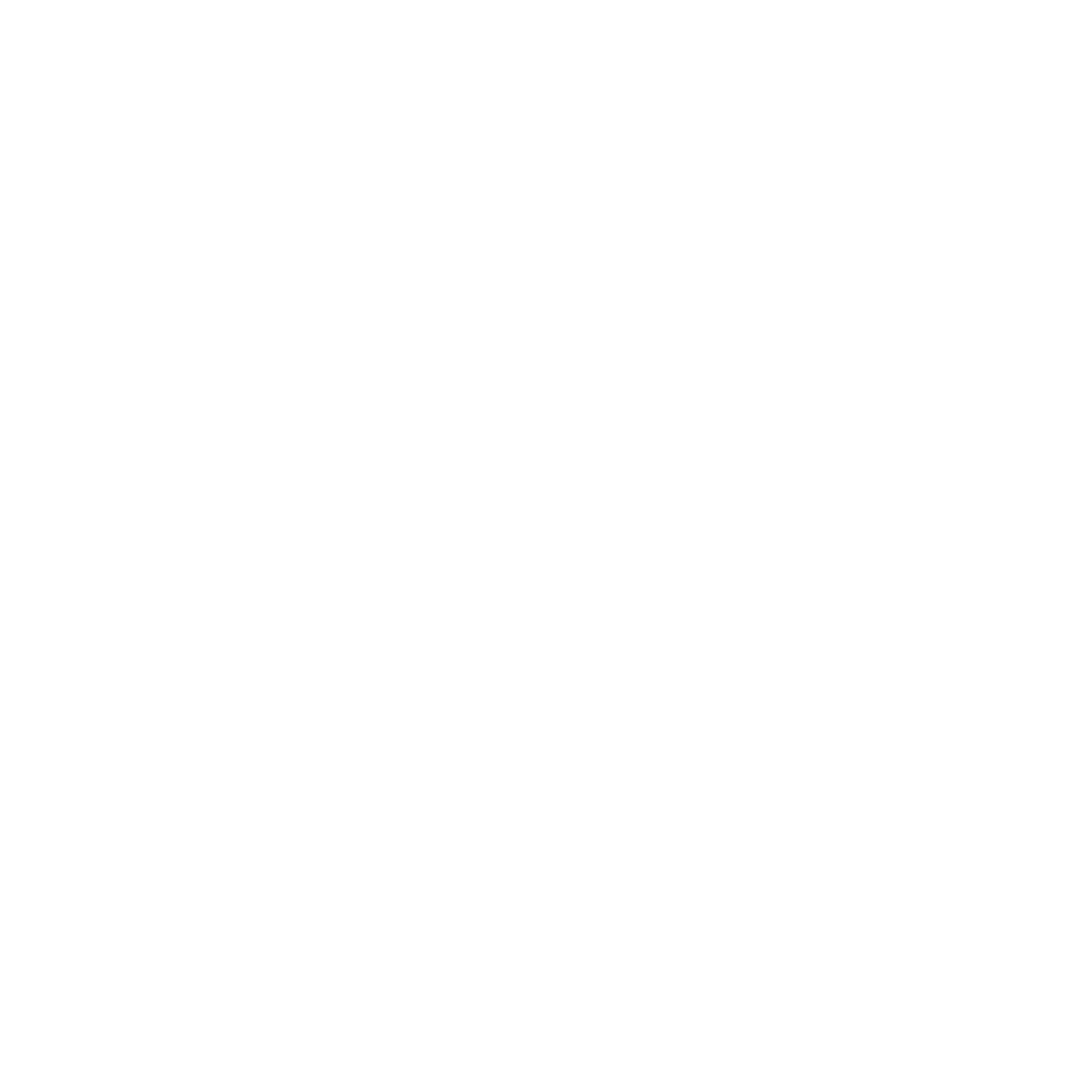 Finisar Systems Logo black and white