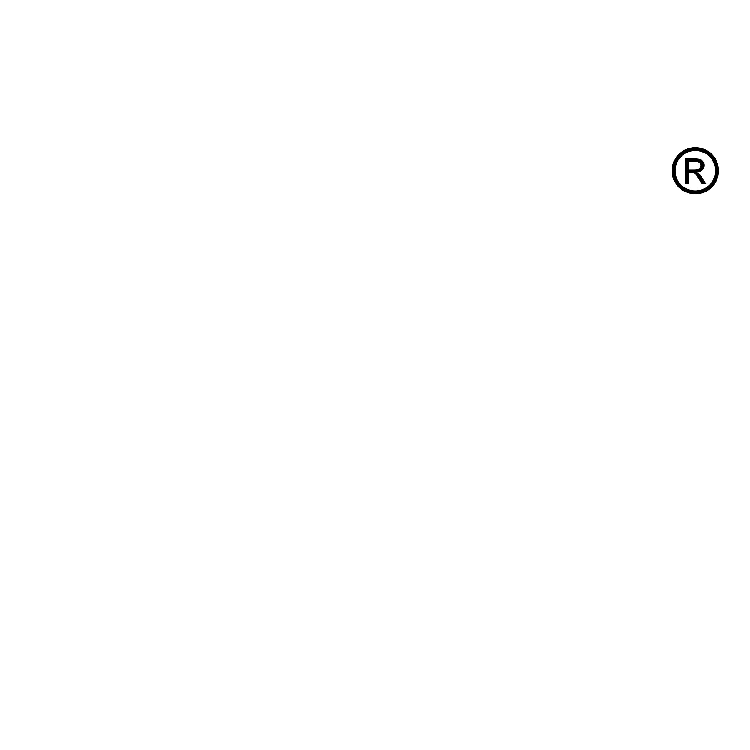 Fireye Logo black and white