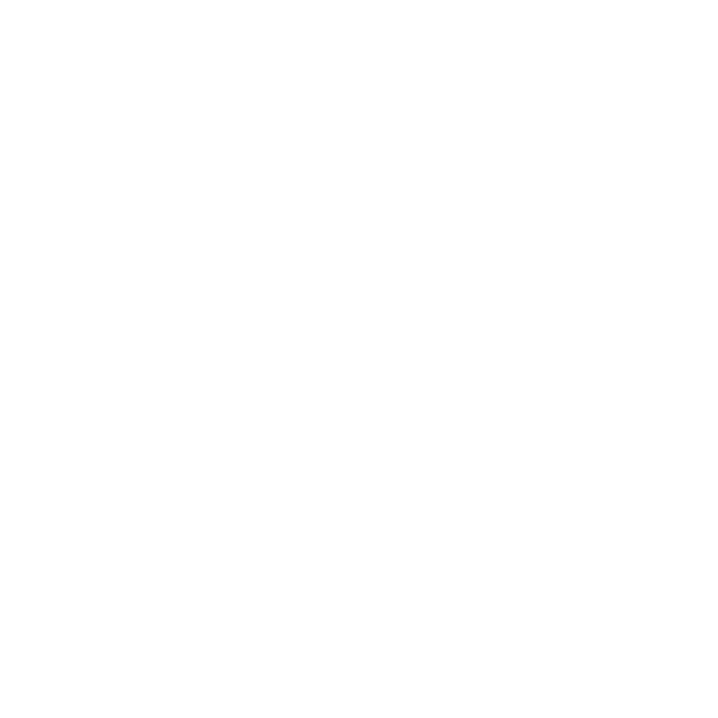 First Software Logo black and white