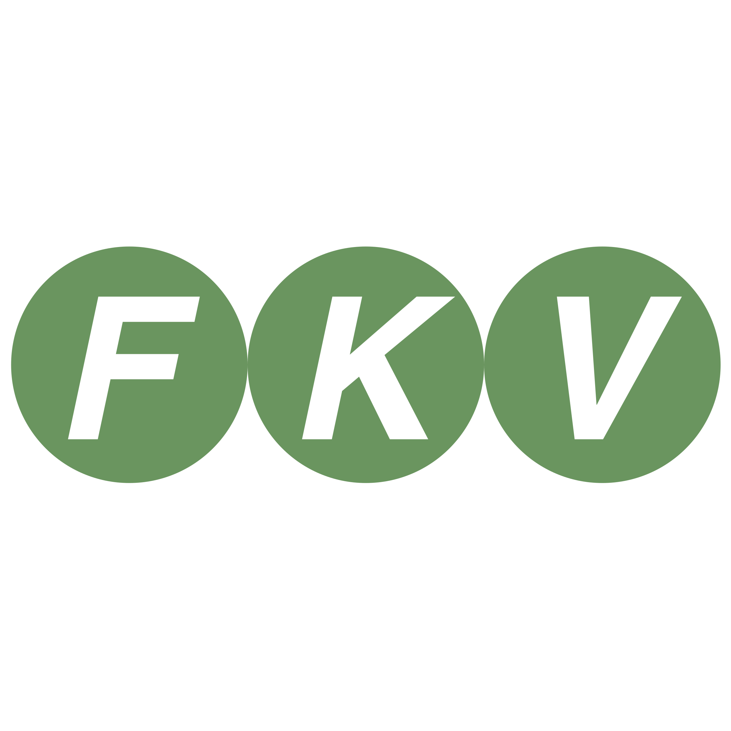 Fkv Fkv