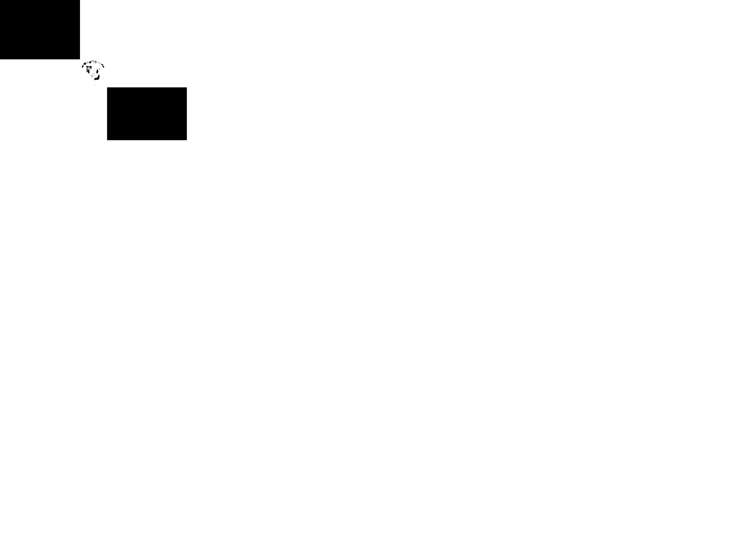 Flag of Dominican Republic Logo black and white