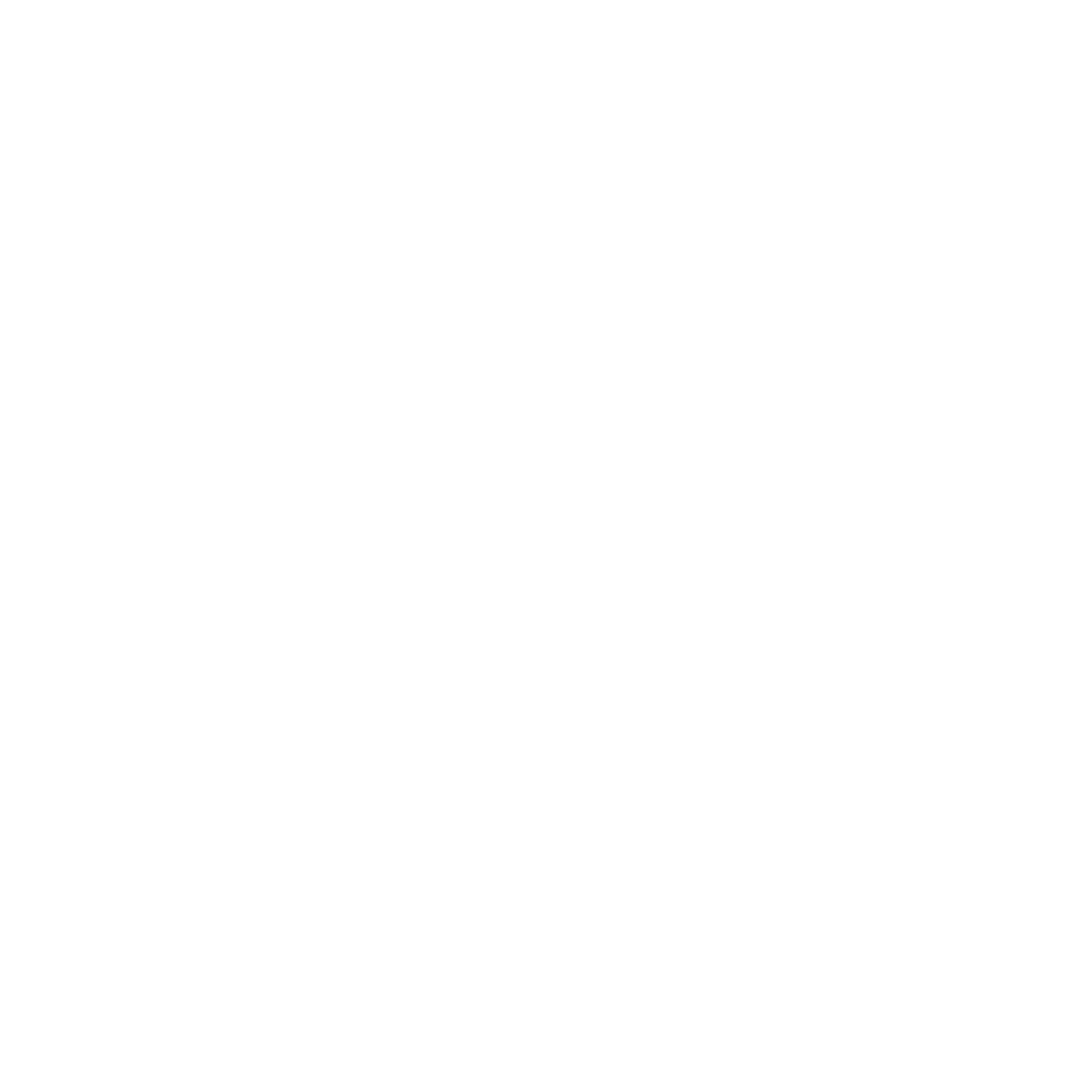 Flash Logo black and white