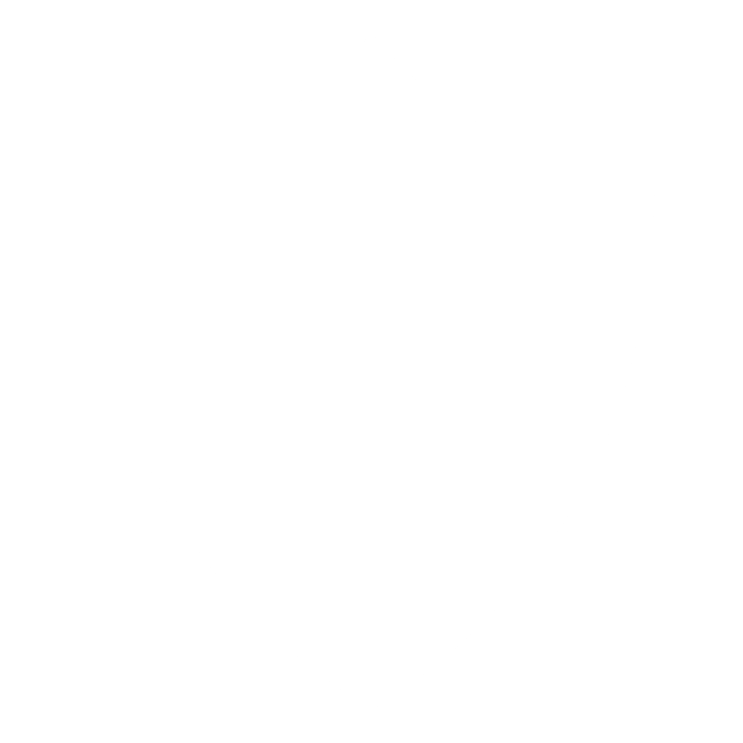 Fluminense Futebol Clube do Rio de Janeiro RJ Logo black and white