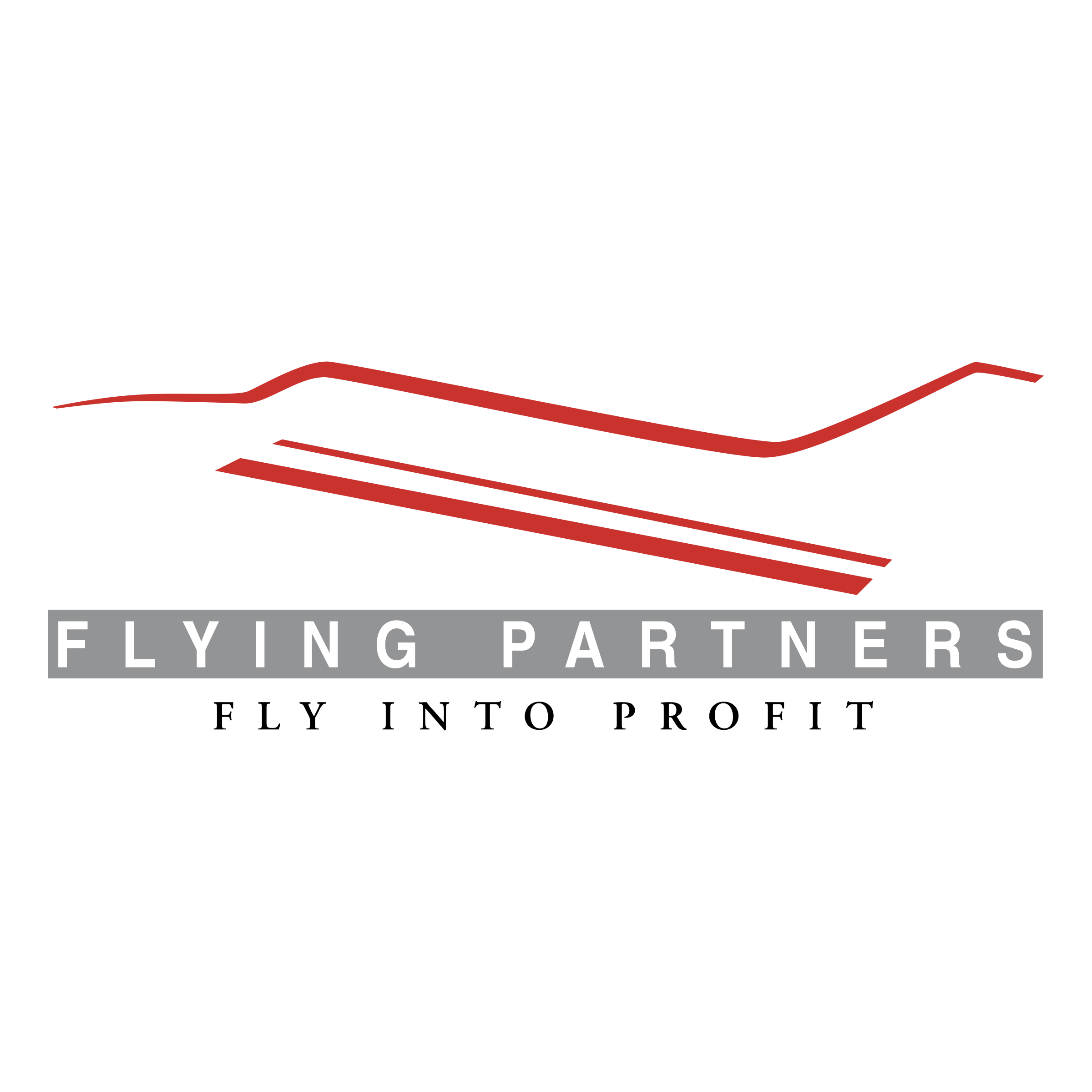 Flying Partners Logo png transparent