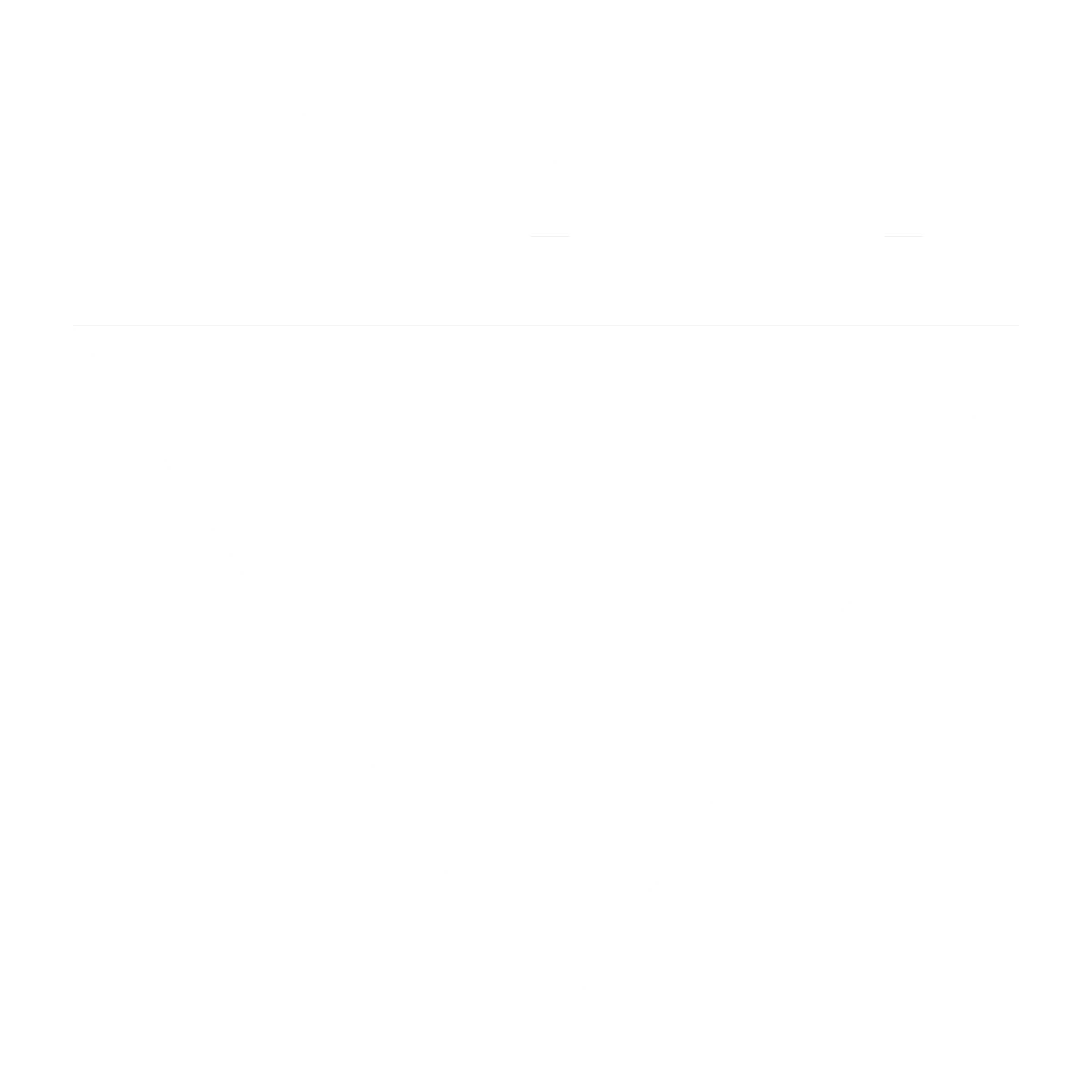 Fortaleza Esporte Clube de Fortaleza CE Logo black and white