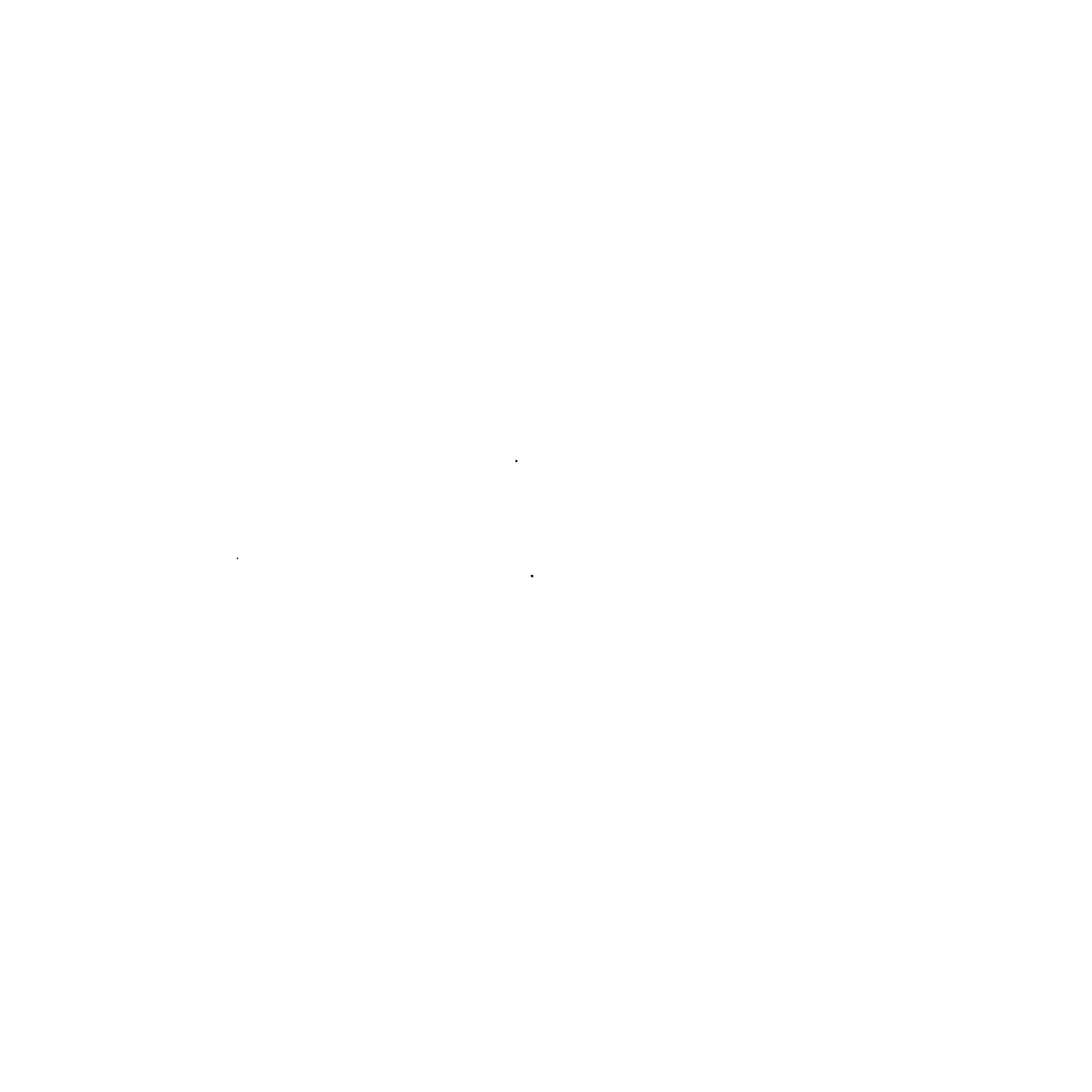 FotoShow Logo black and white