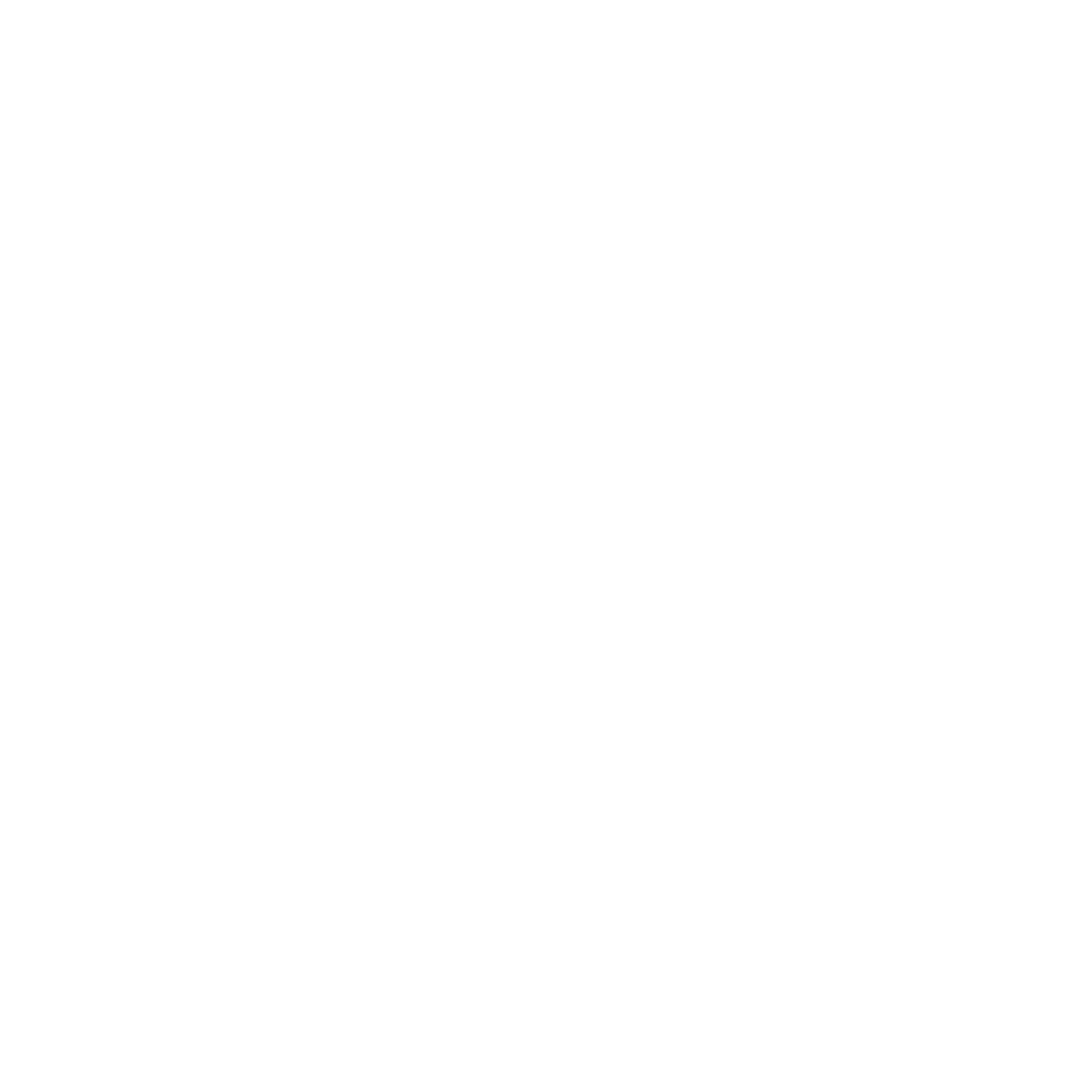 Foundry Networks Logo black and white