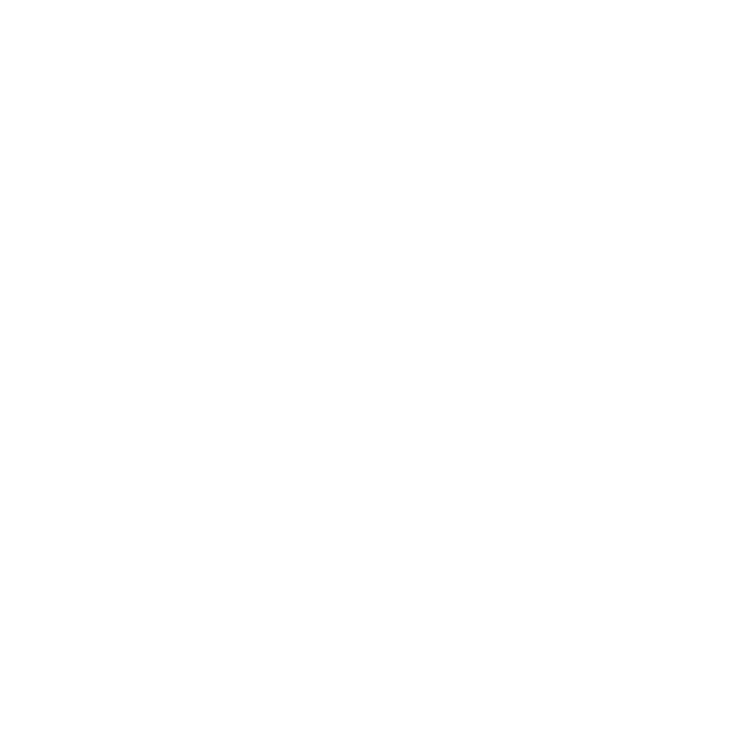 FPV Logo black and white