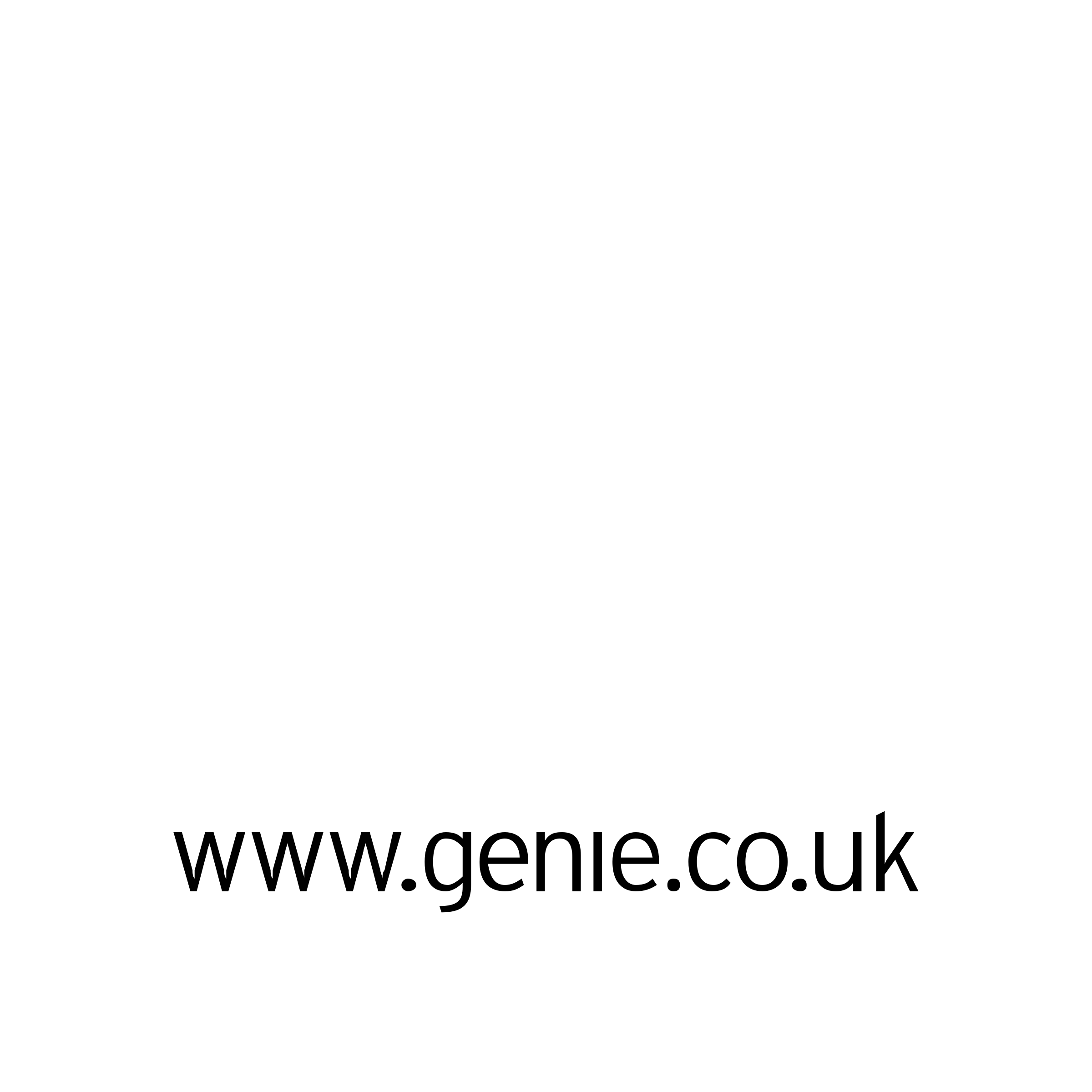 Genie Logo black and white