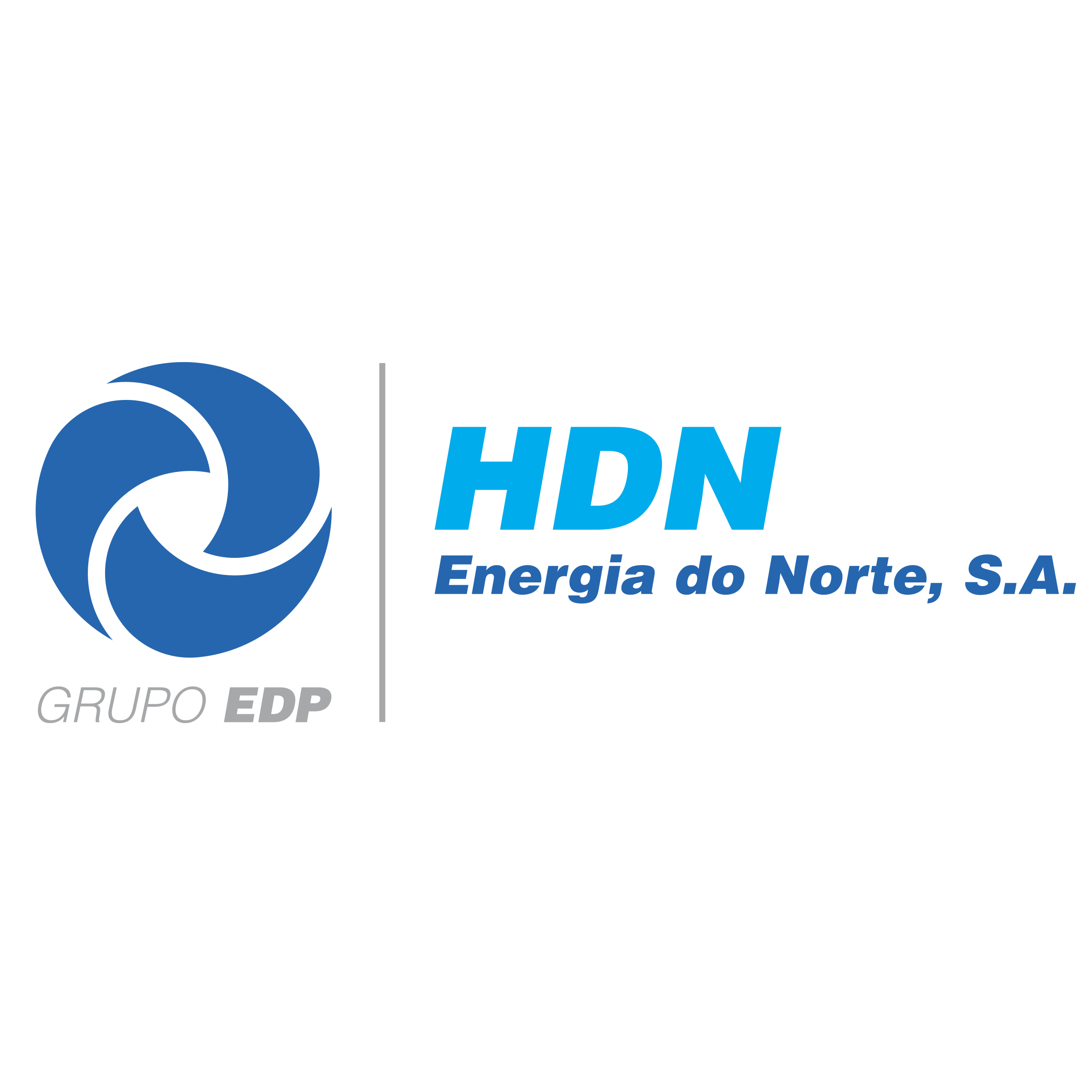 HDN Logo png transparent