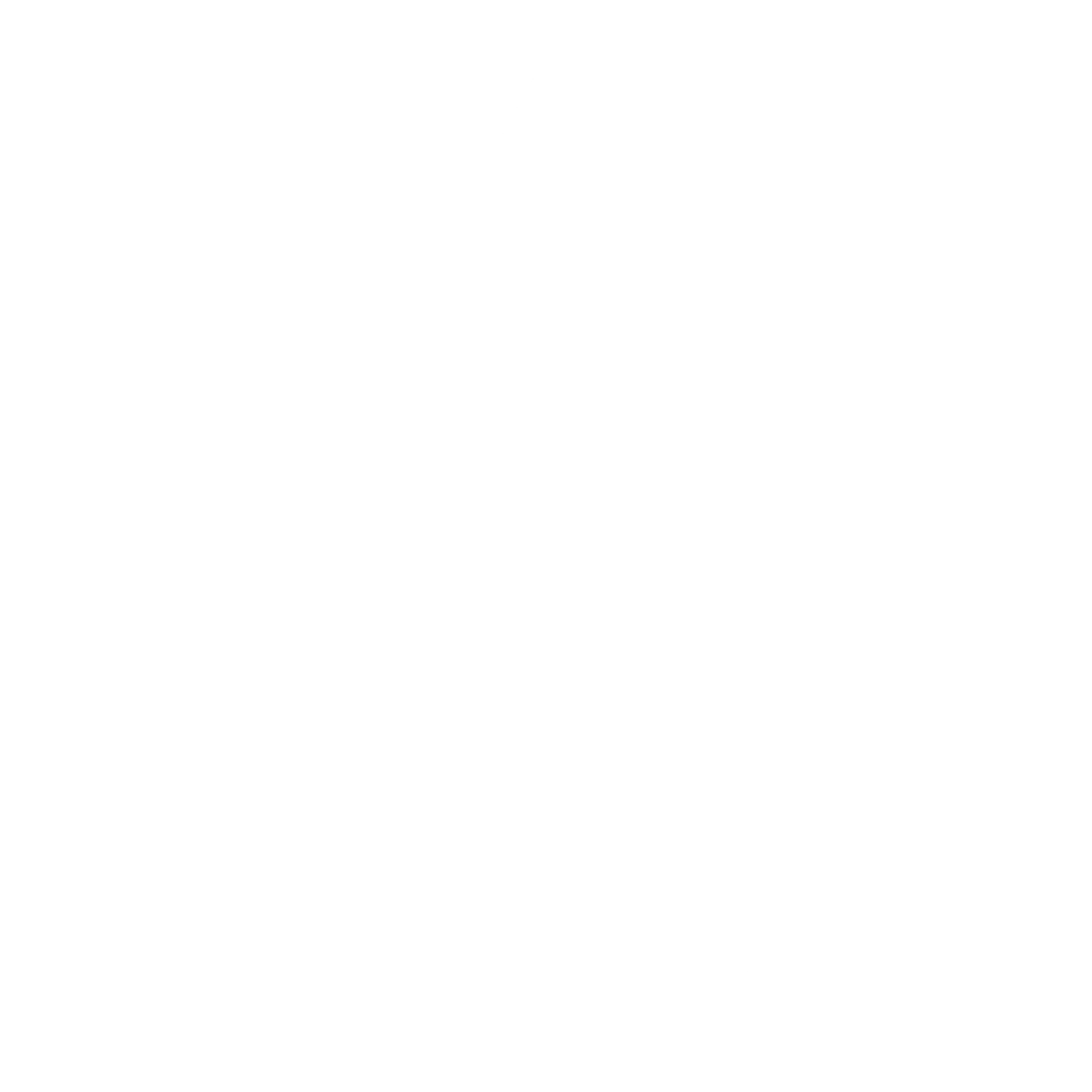 Icesur Logo black and white