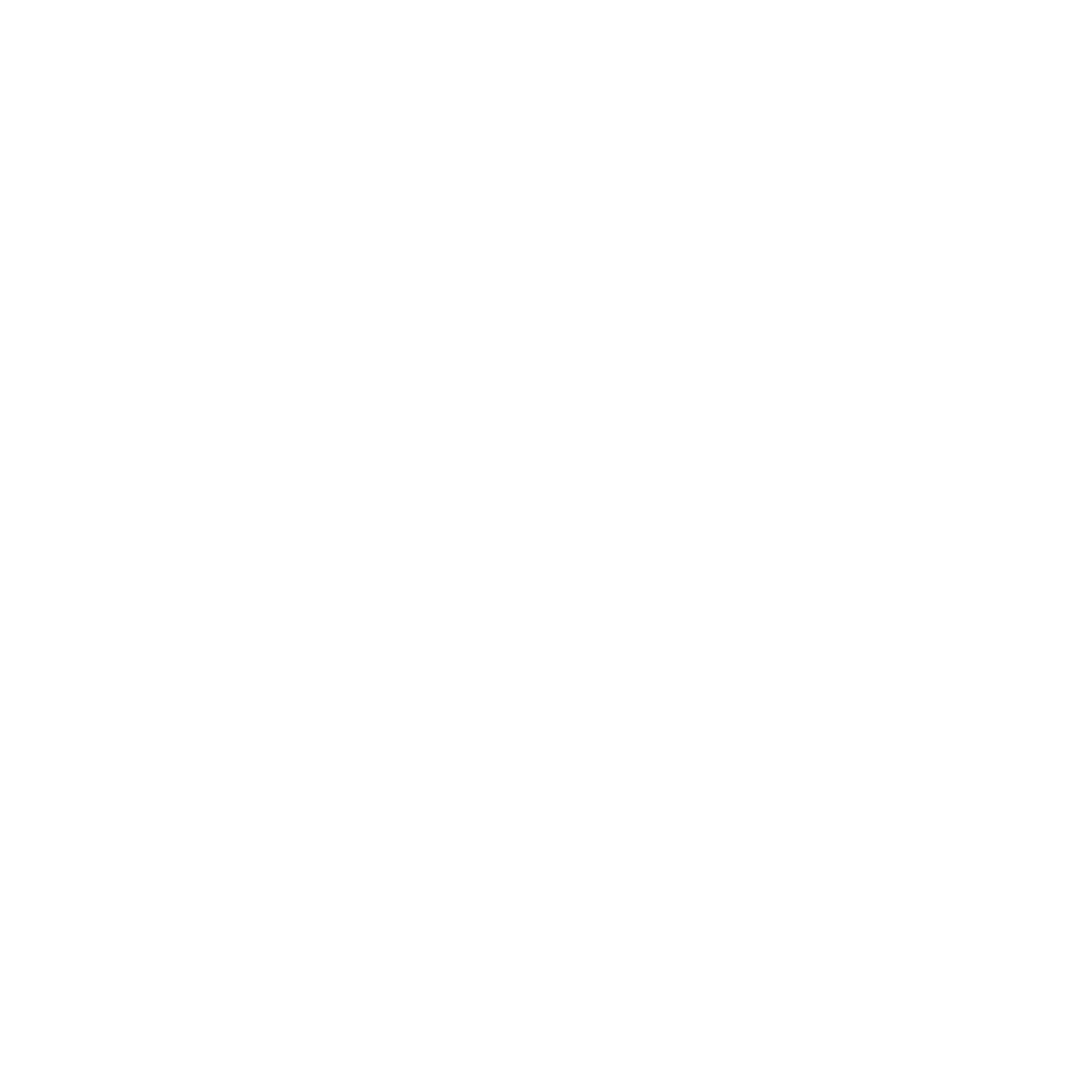 IER Logo black and white
