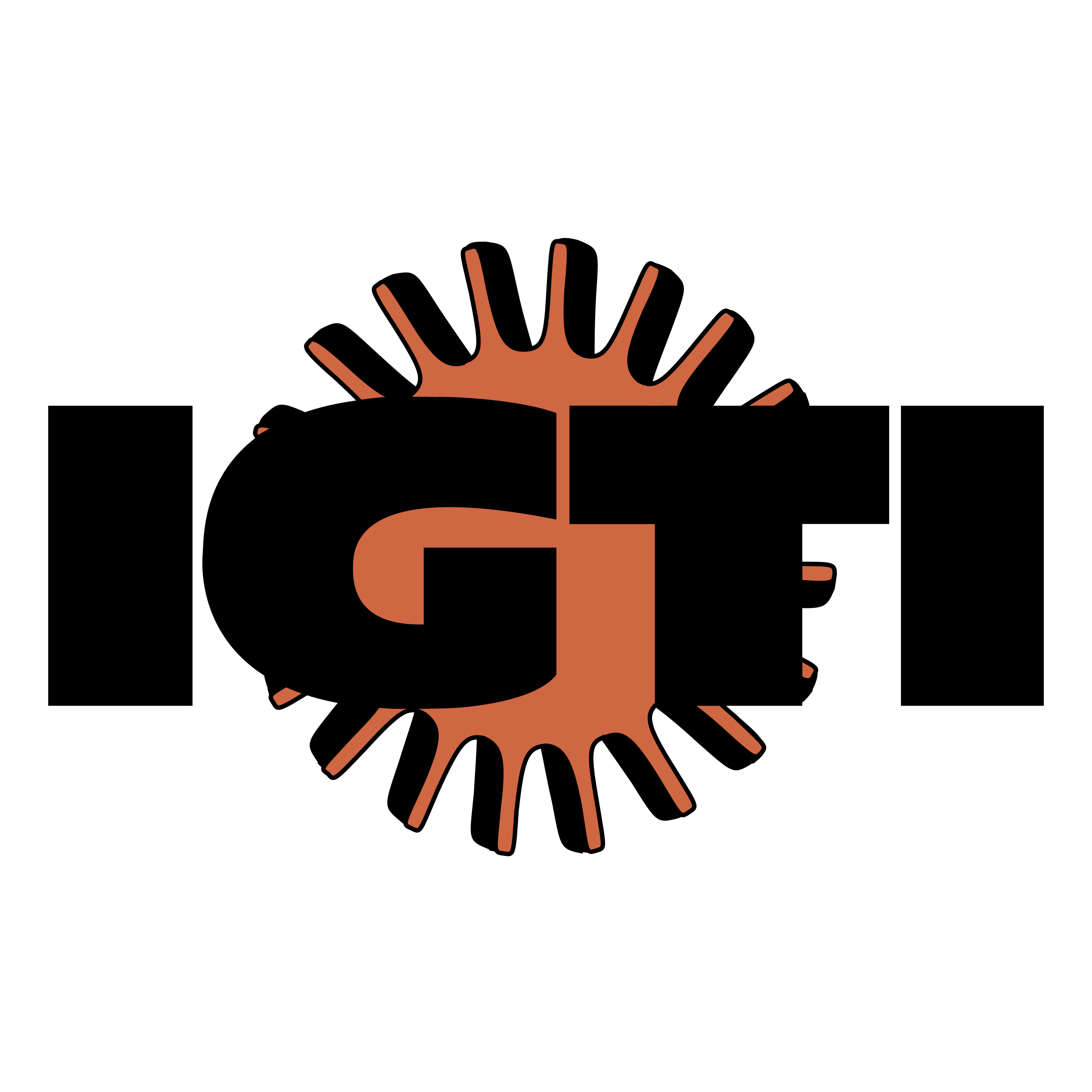 IGTI Logo png transparent